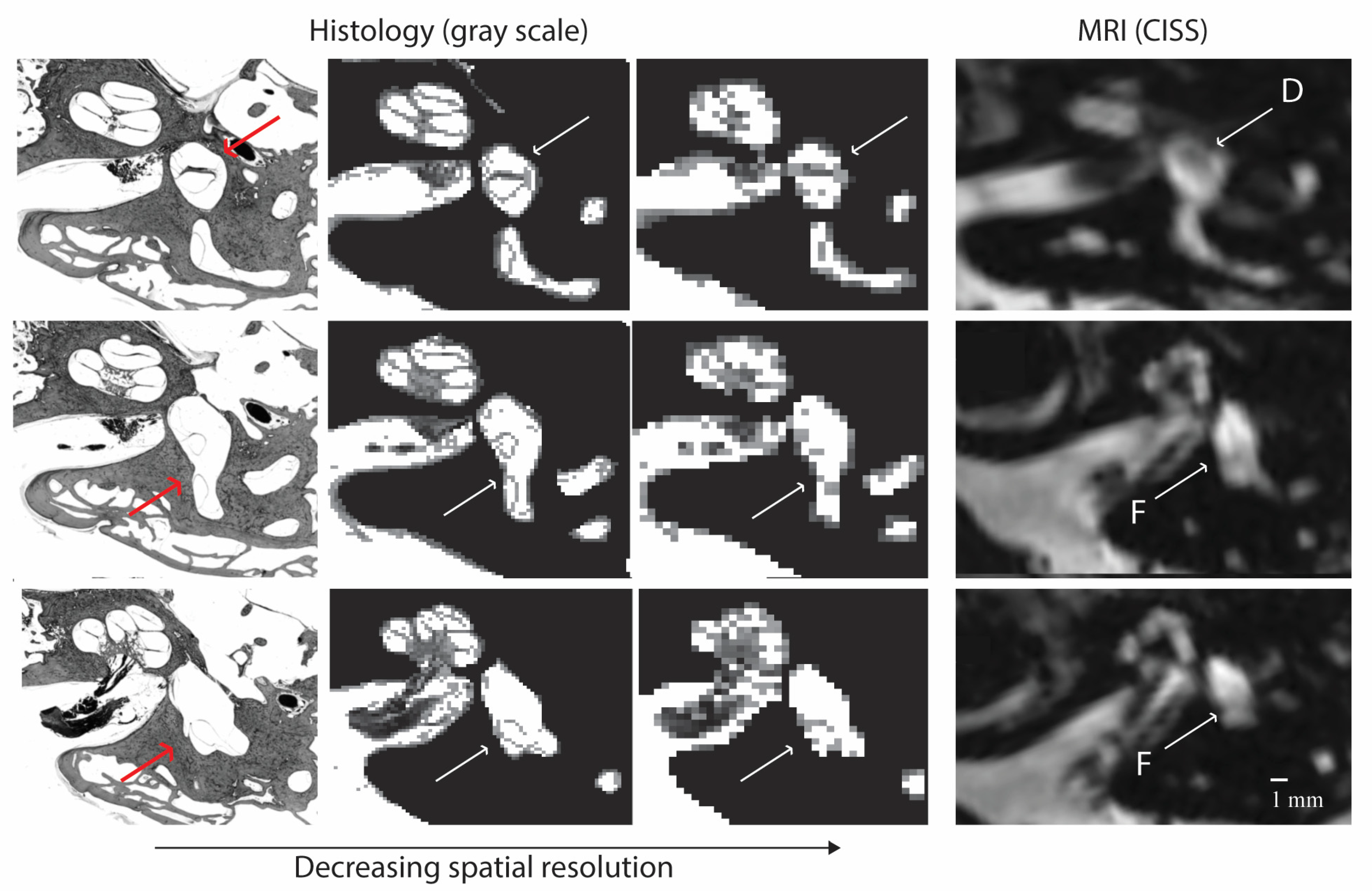 Tomography 10 00016 g007