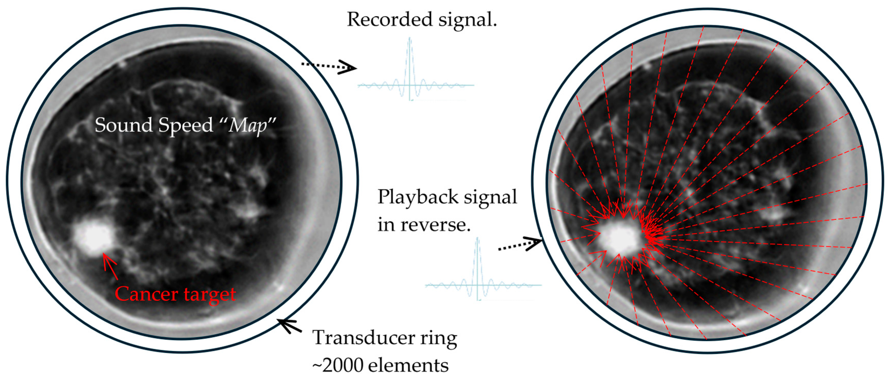 Tomography 10 00044 g010