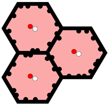 Tomography 10 00045 i002