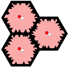 Tomography 10 00045 i003