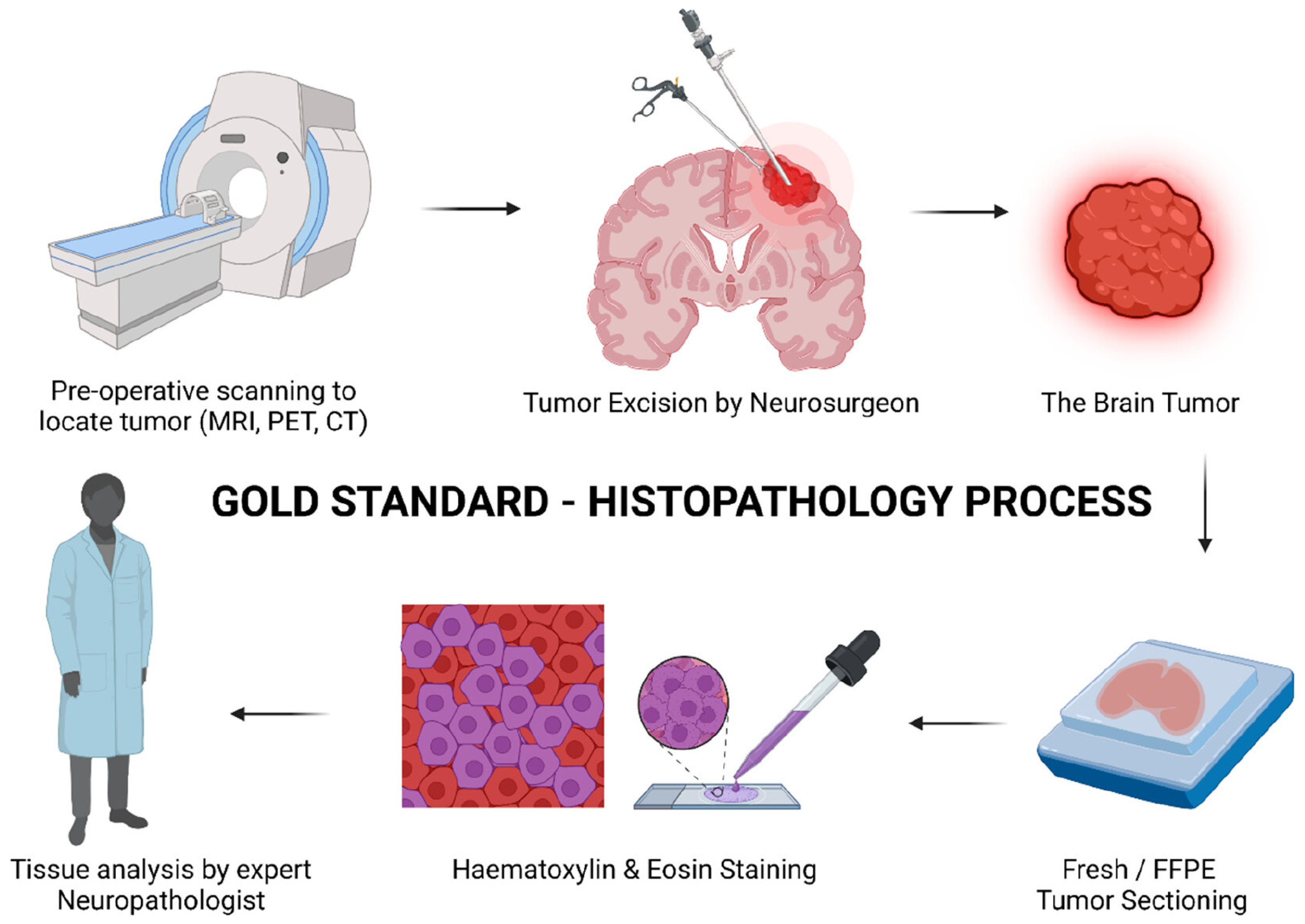 Tomography 10 00054 g001 Tomography 10 00054 g001