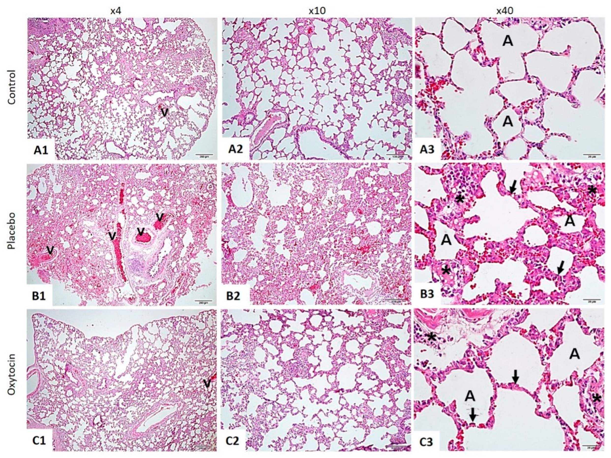 Tomography 10 00101 g001