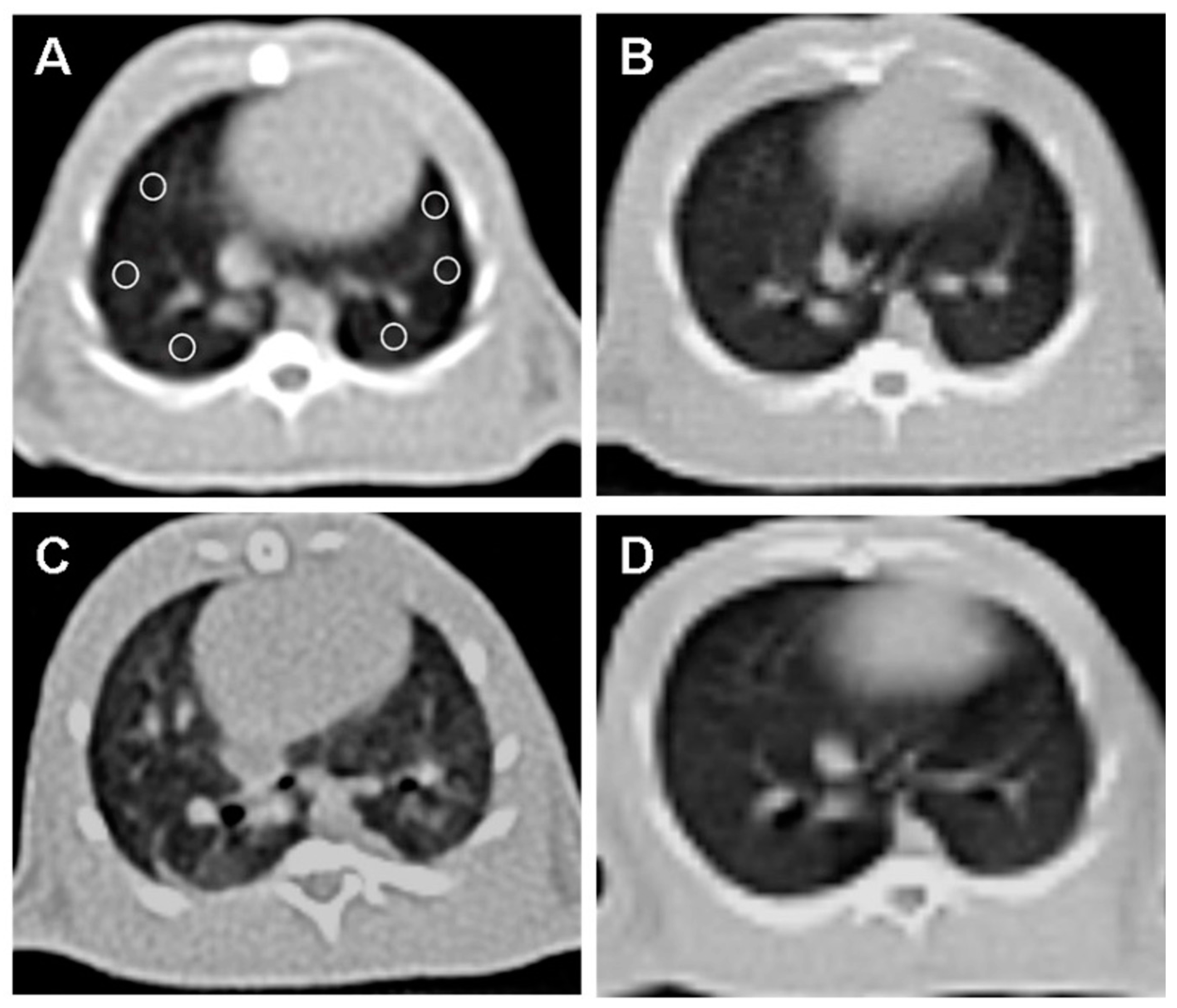 Tomography 10 00101 g002