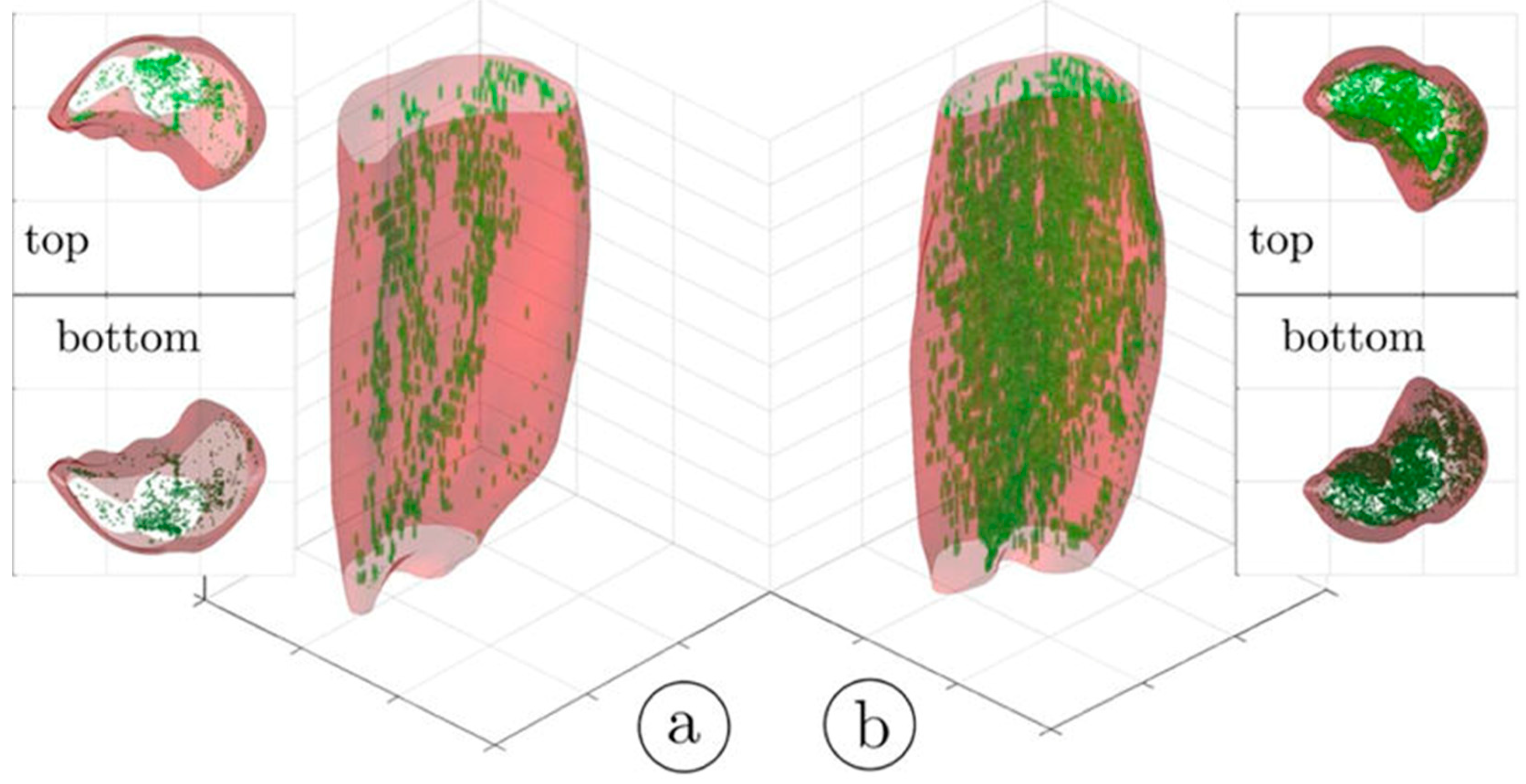 Tomography 10 00106 g001 Tomography 10 00106 g001