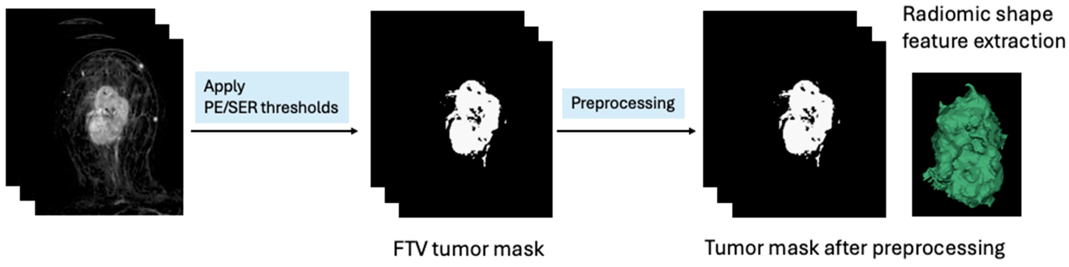 Tomography 10 00134 g001