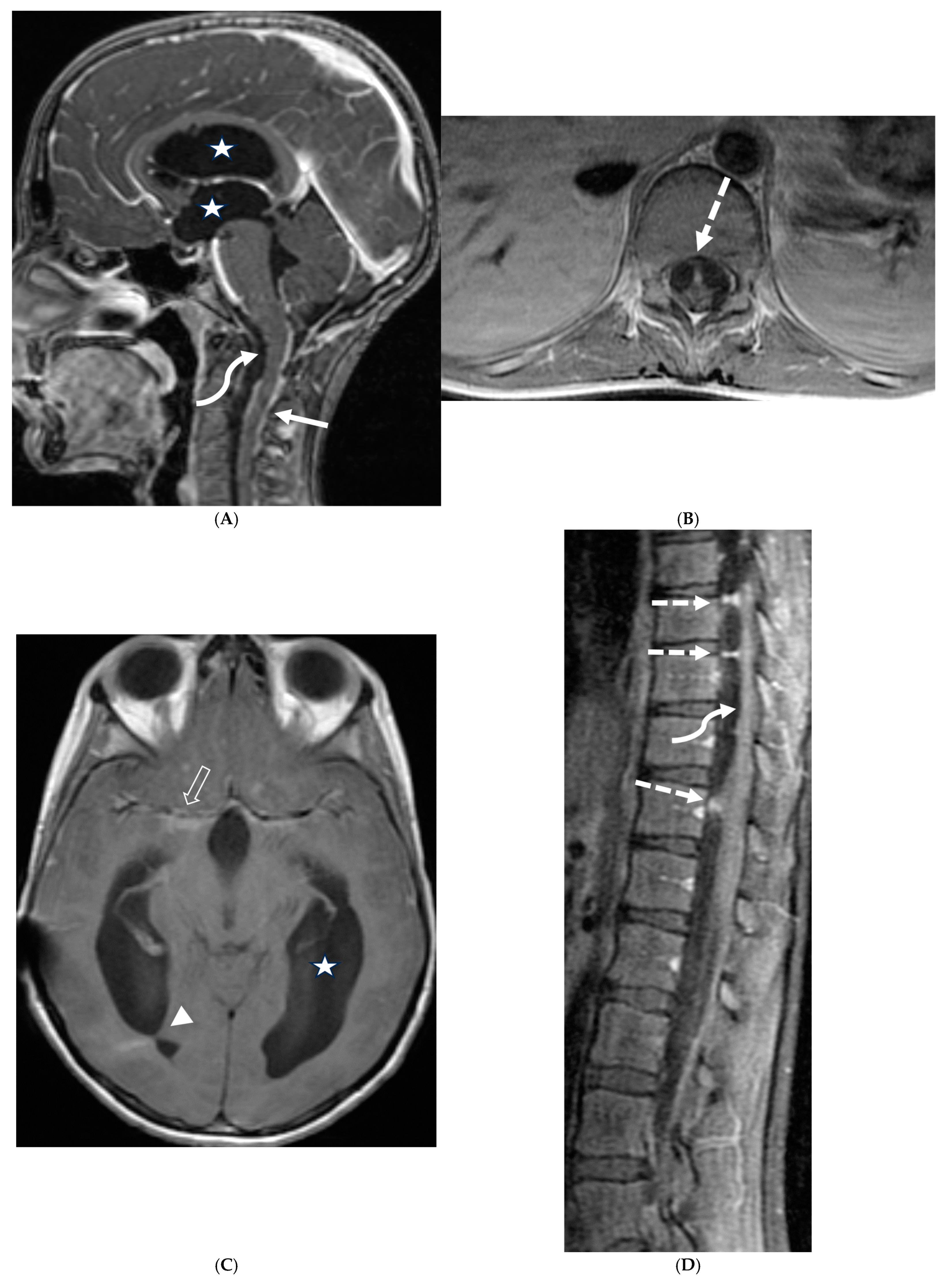 Tomography 10 00143 g002 Tomography 10 00143 g002