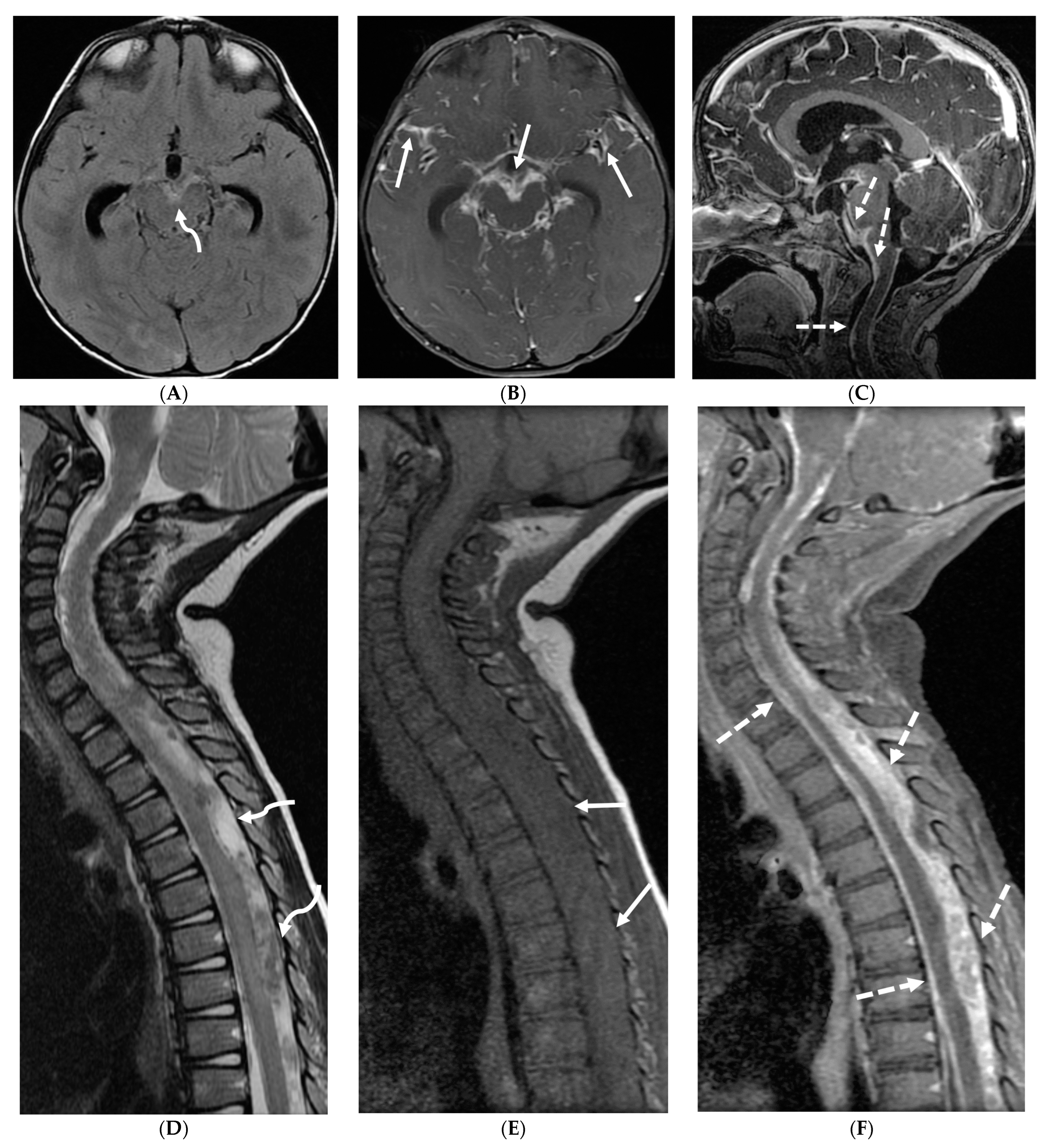 Tomography 10 00143 g007 Tomography 10 00143 g007