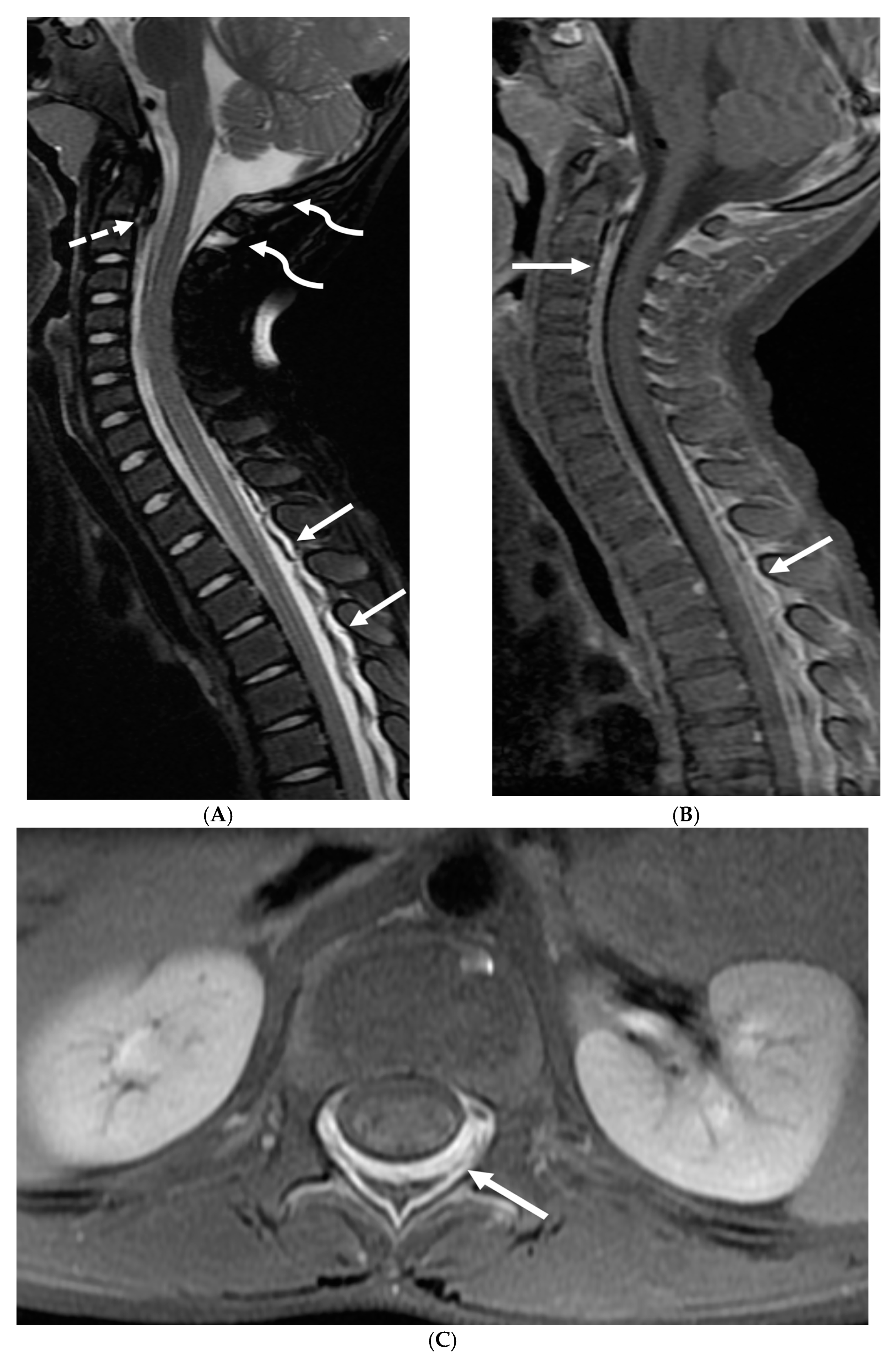 Tomography 10 00143 g009 Tomography 10 00143 g009