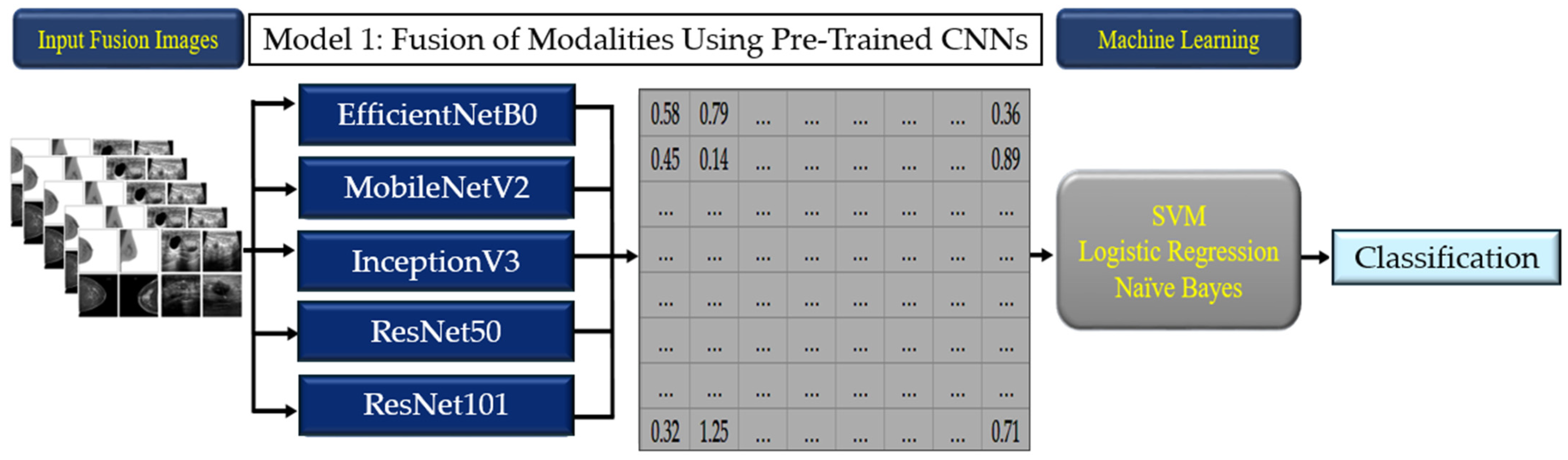 Tomography 10 00145 g003