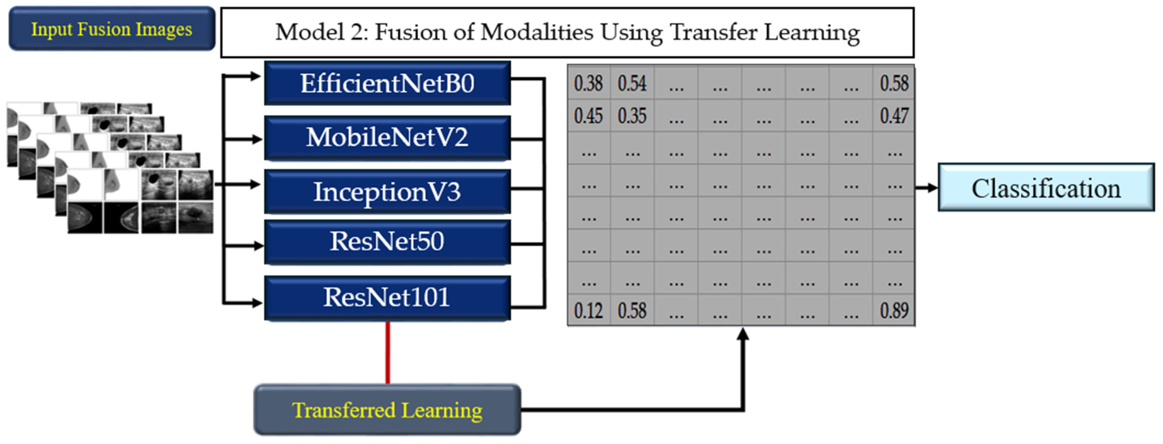 Tomography 10 00145 g004