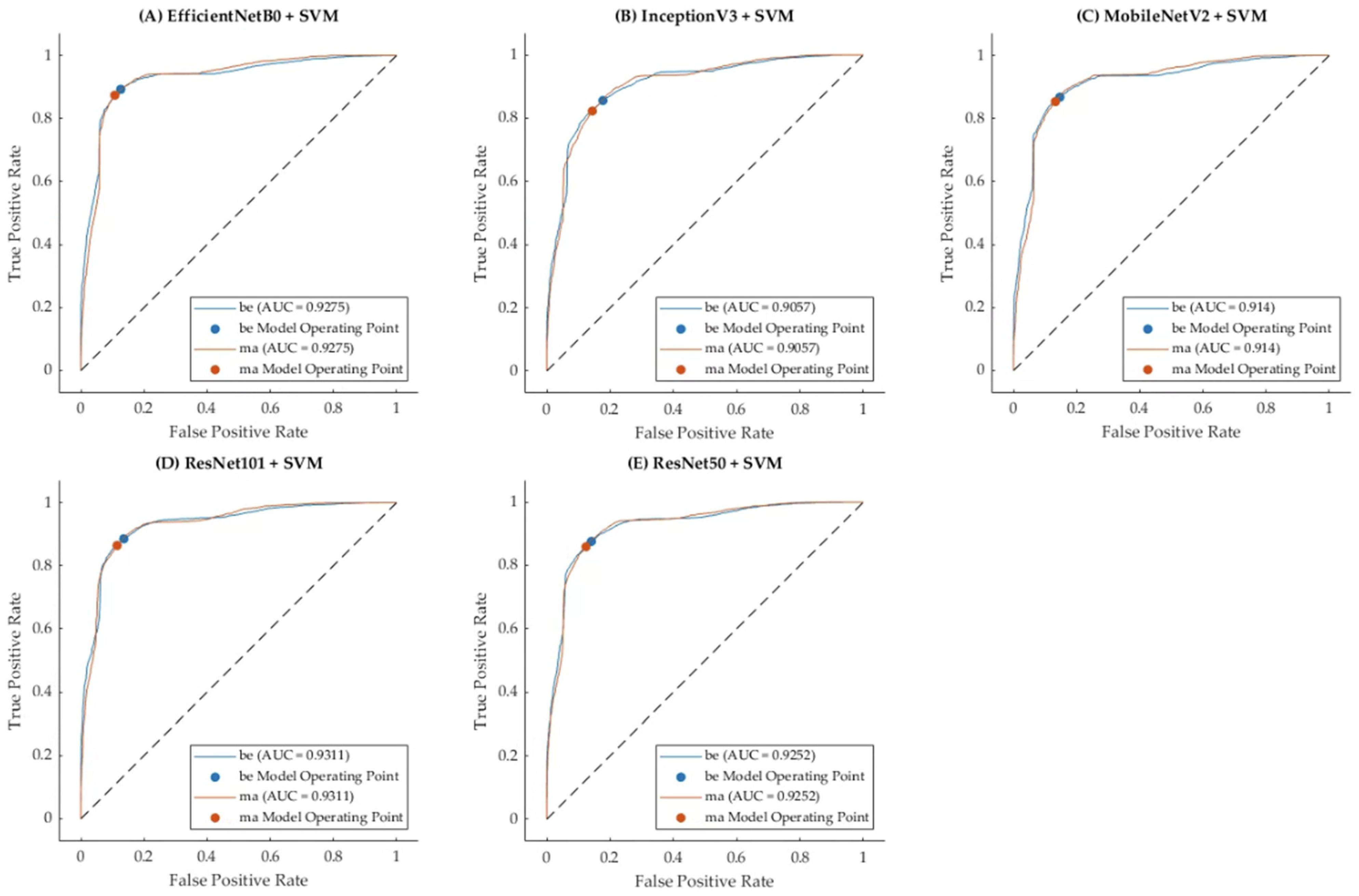 Tomography 10 00145 g006