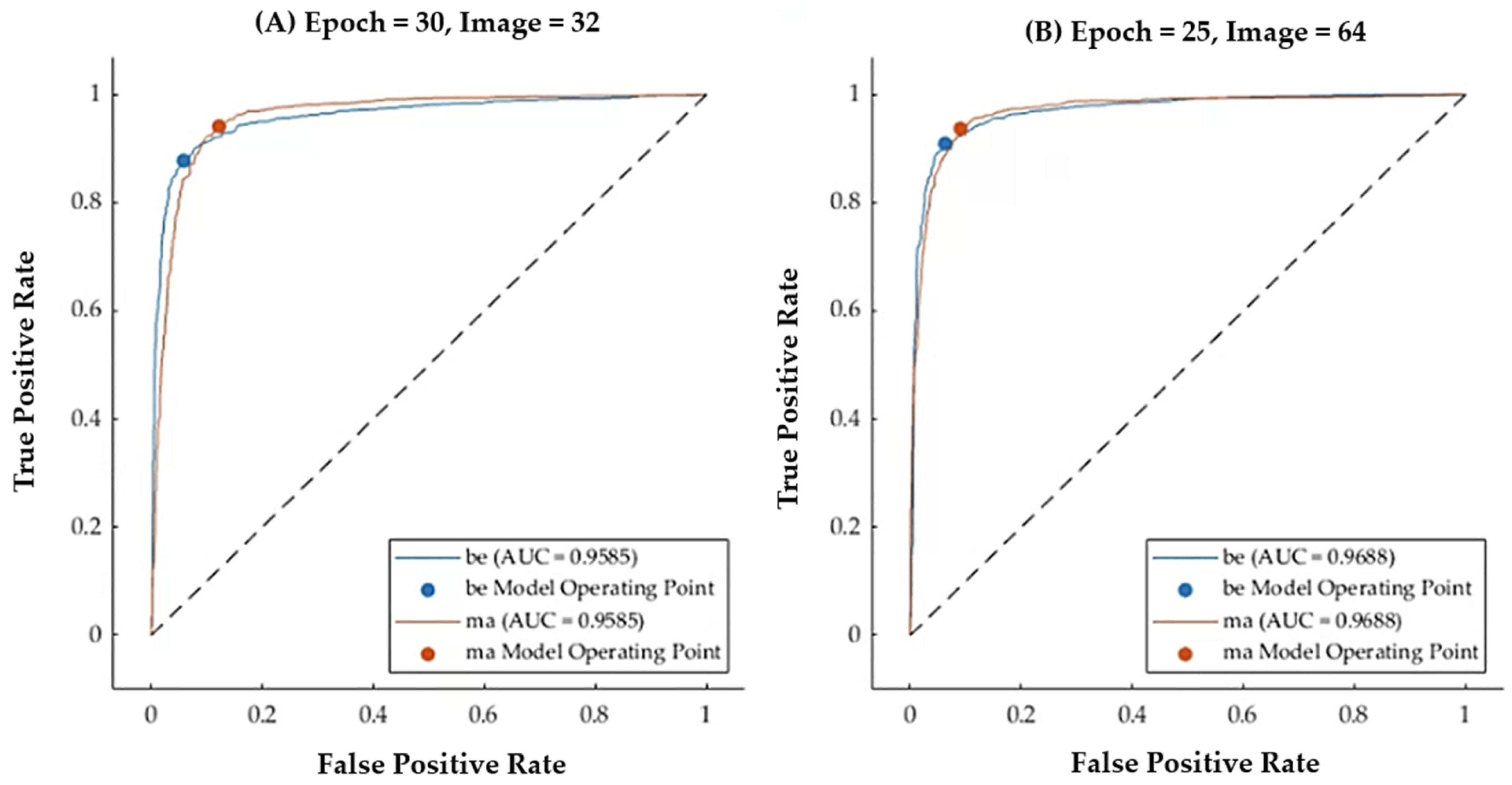Tomography 10 00145 g008