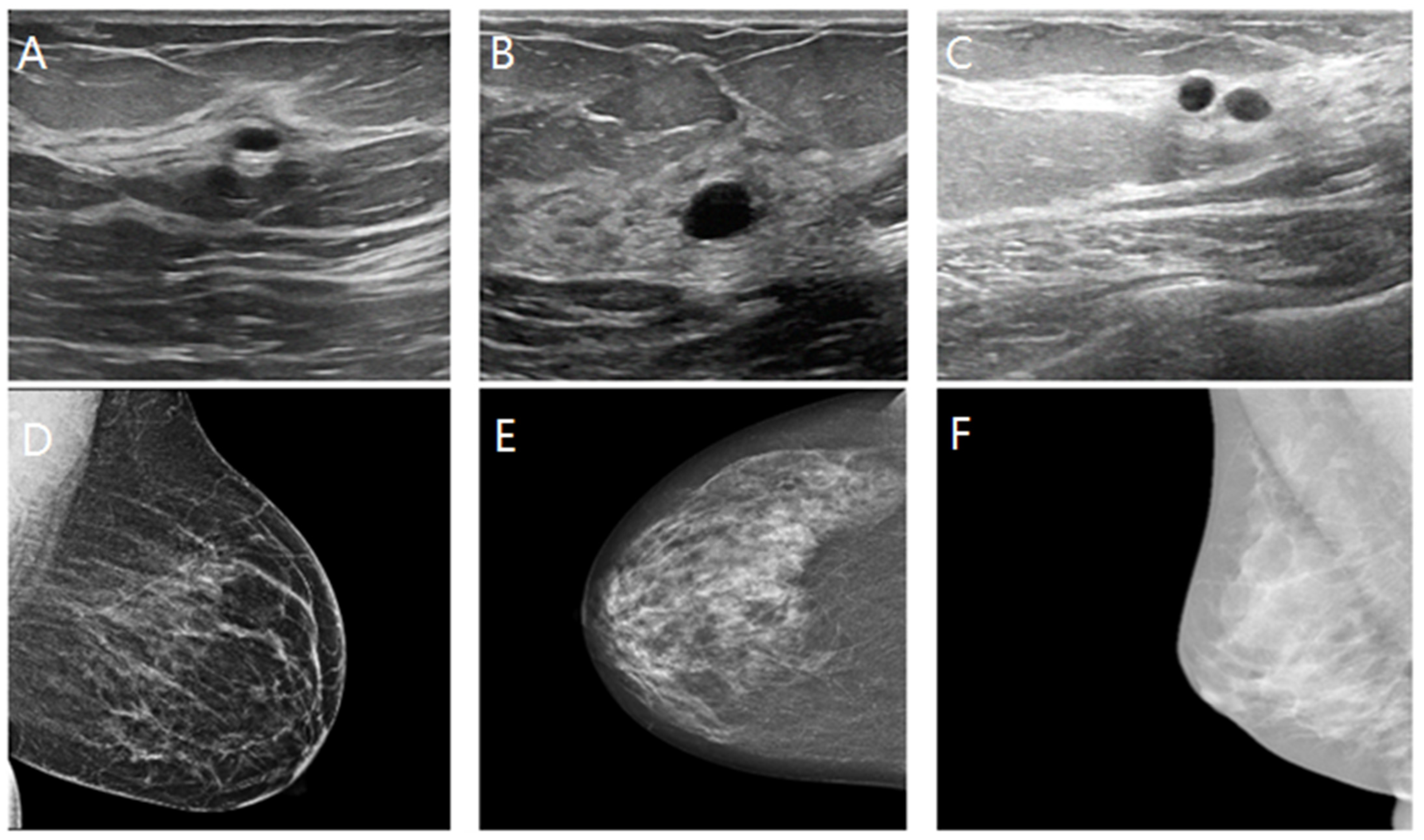 Tomography 10 00145 g009