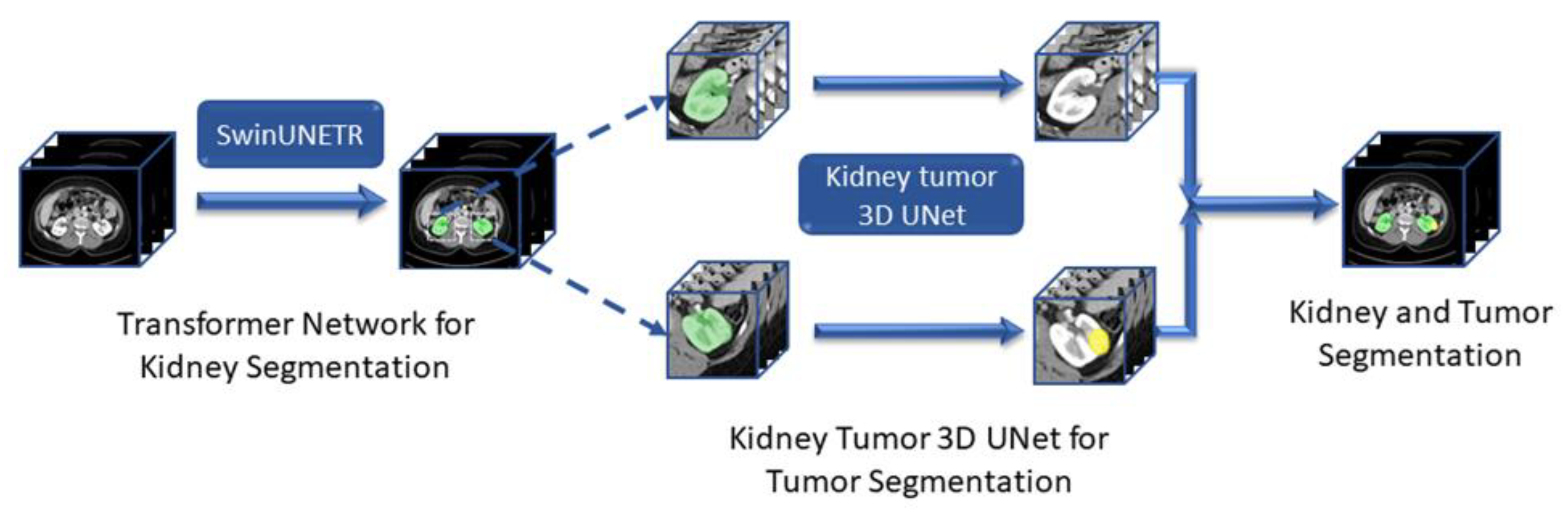 Tomography 11 00003 g001