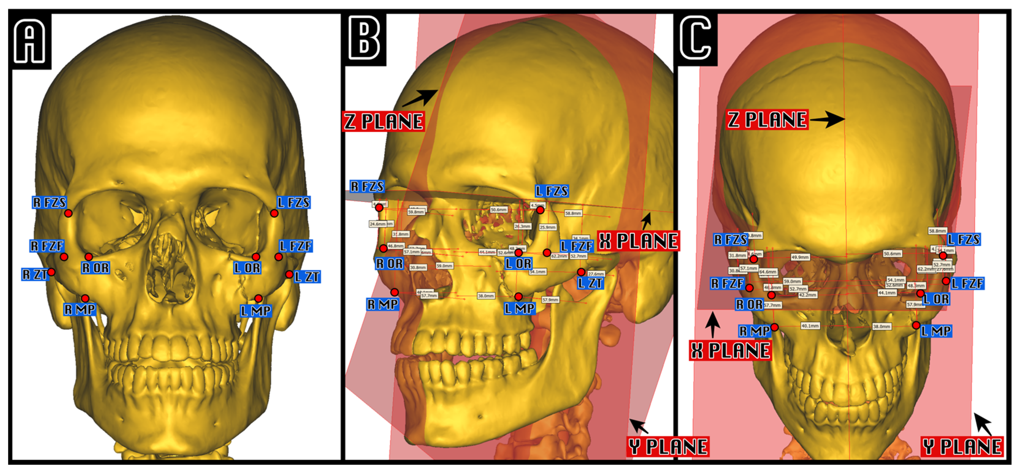 Tomography 11 00019 g001