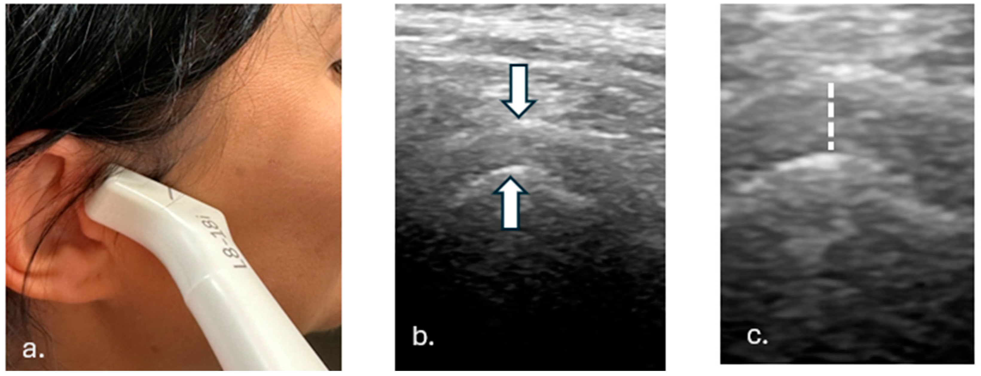 Tomography 11 00027 g001