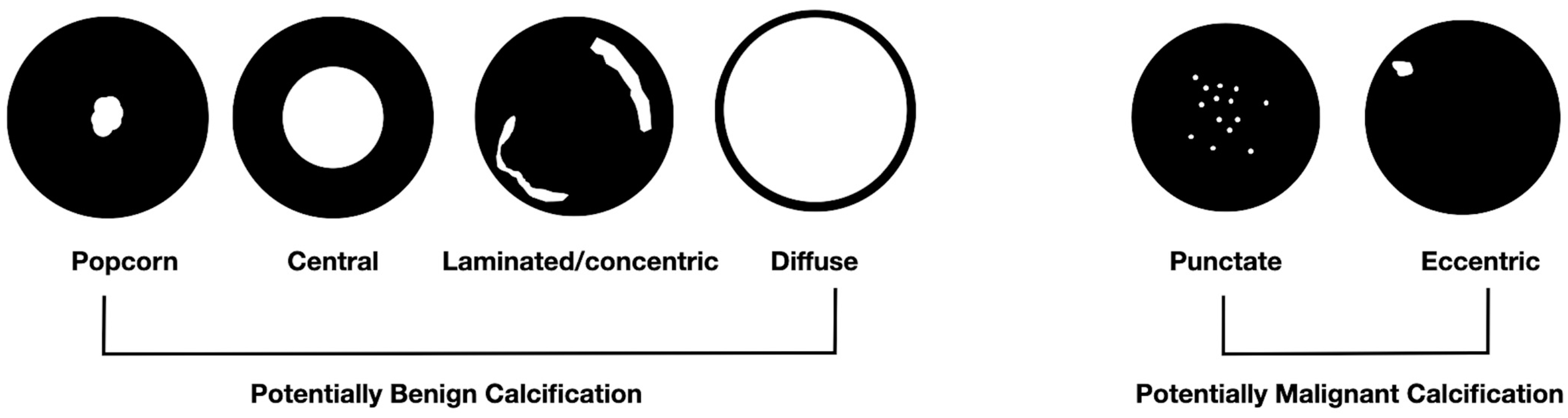 Tomography 11 00028 g001