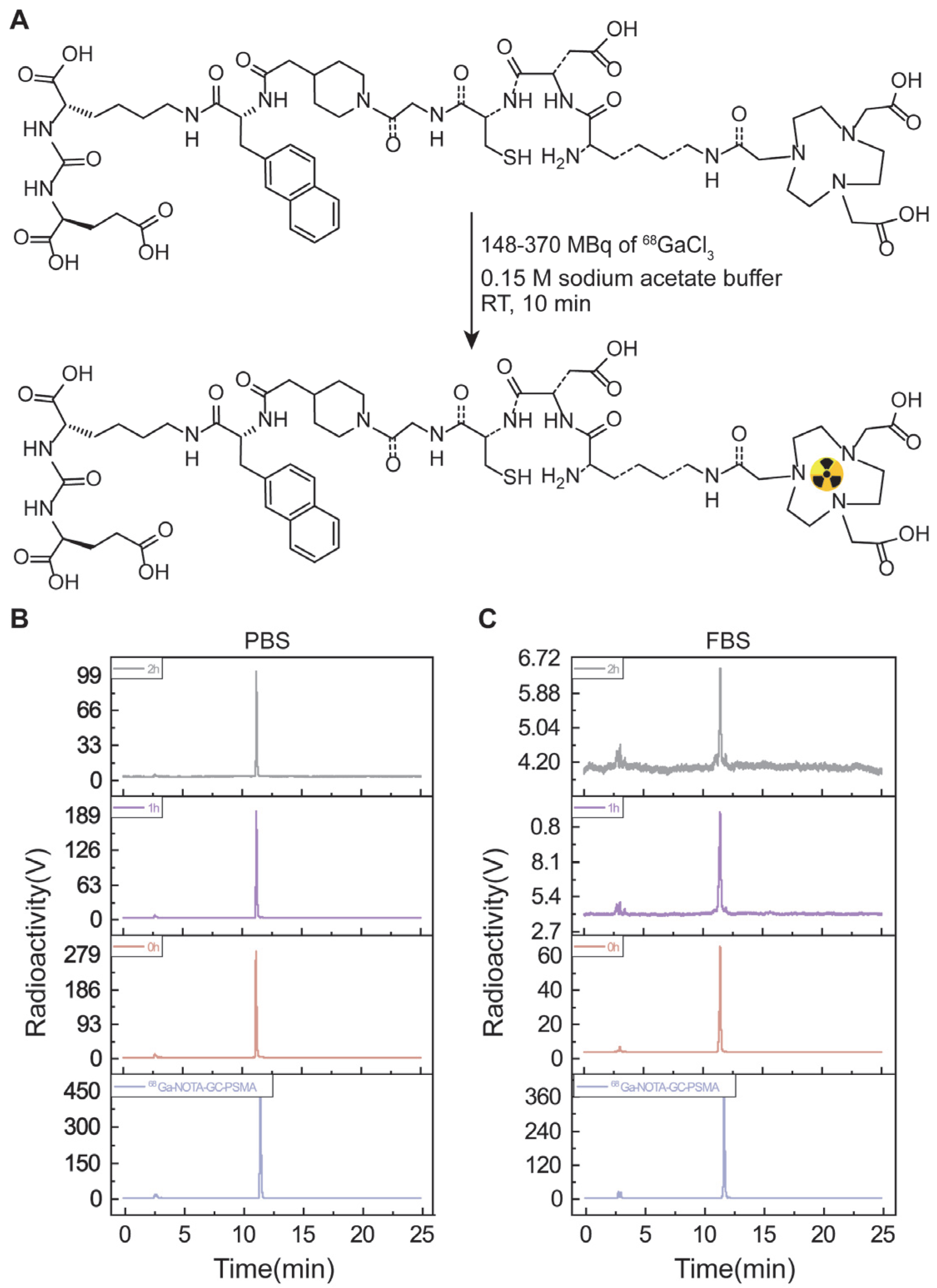 Tomography 11 00029 g001