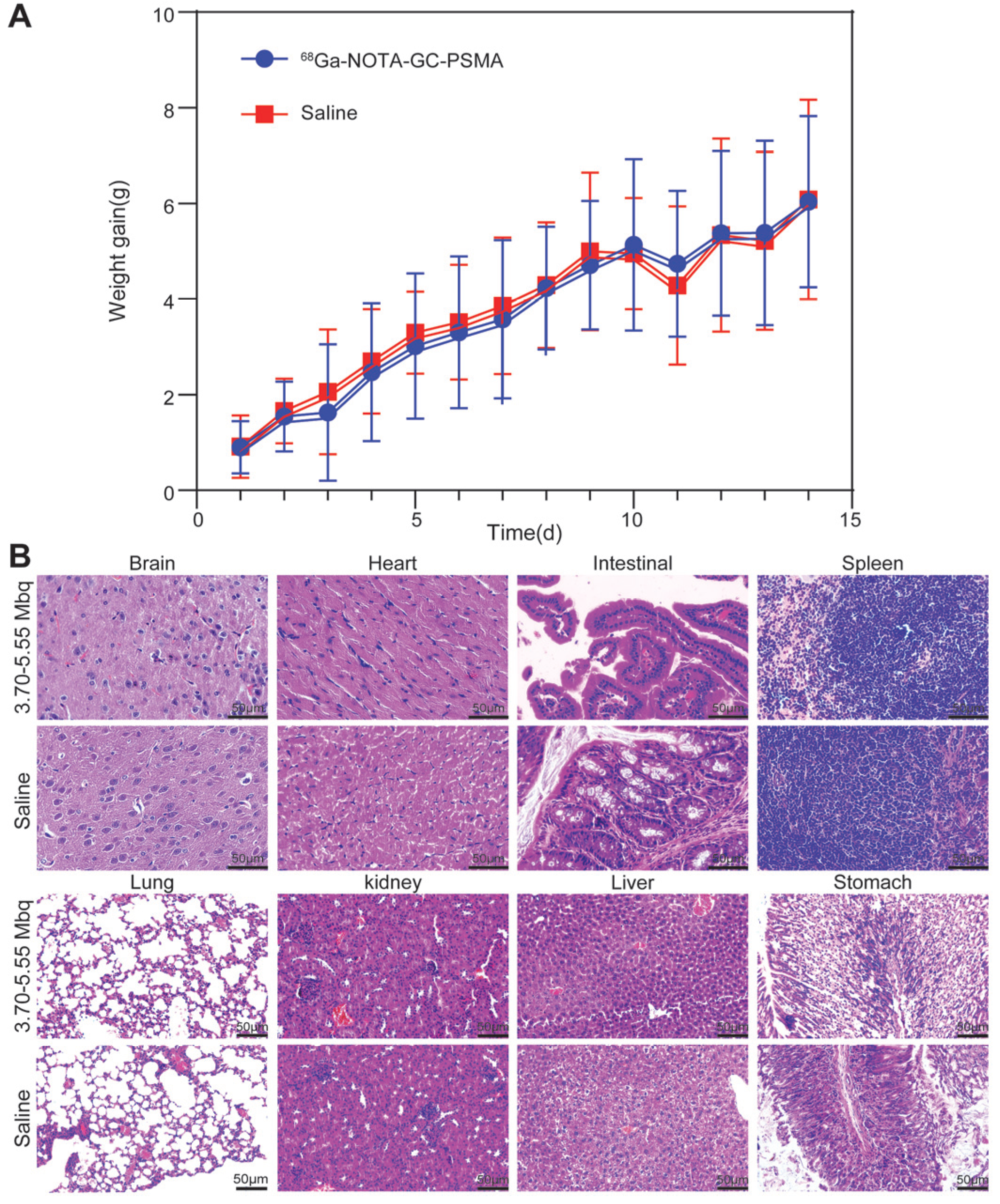 Tomography 11 00029 g003