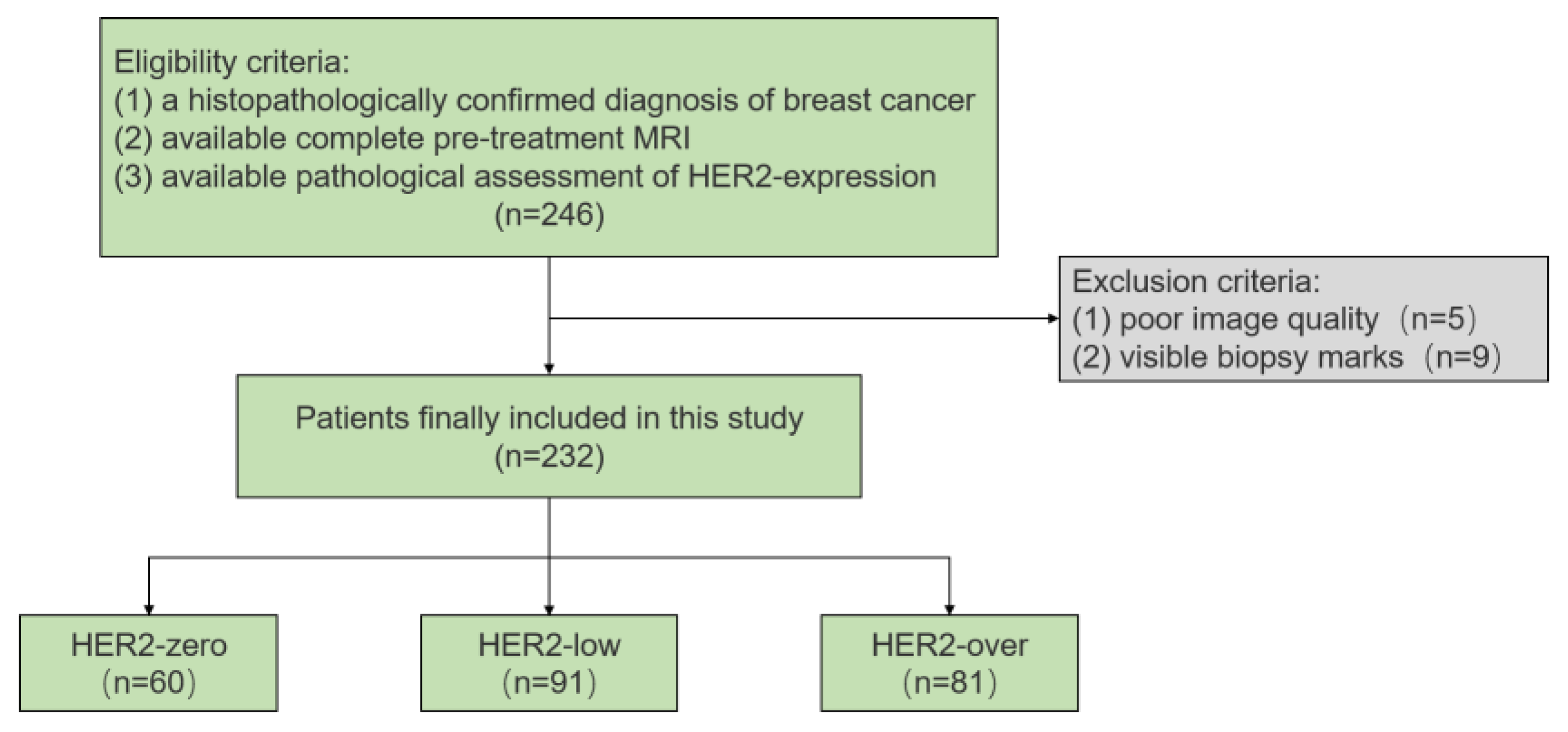 Tomography 11 00031 g001