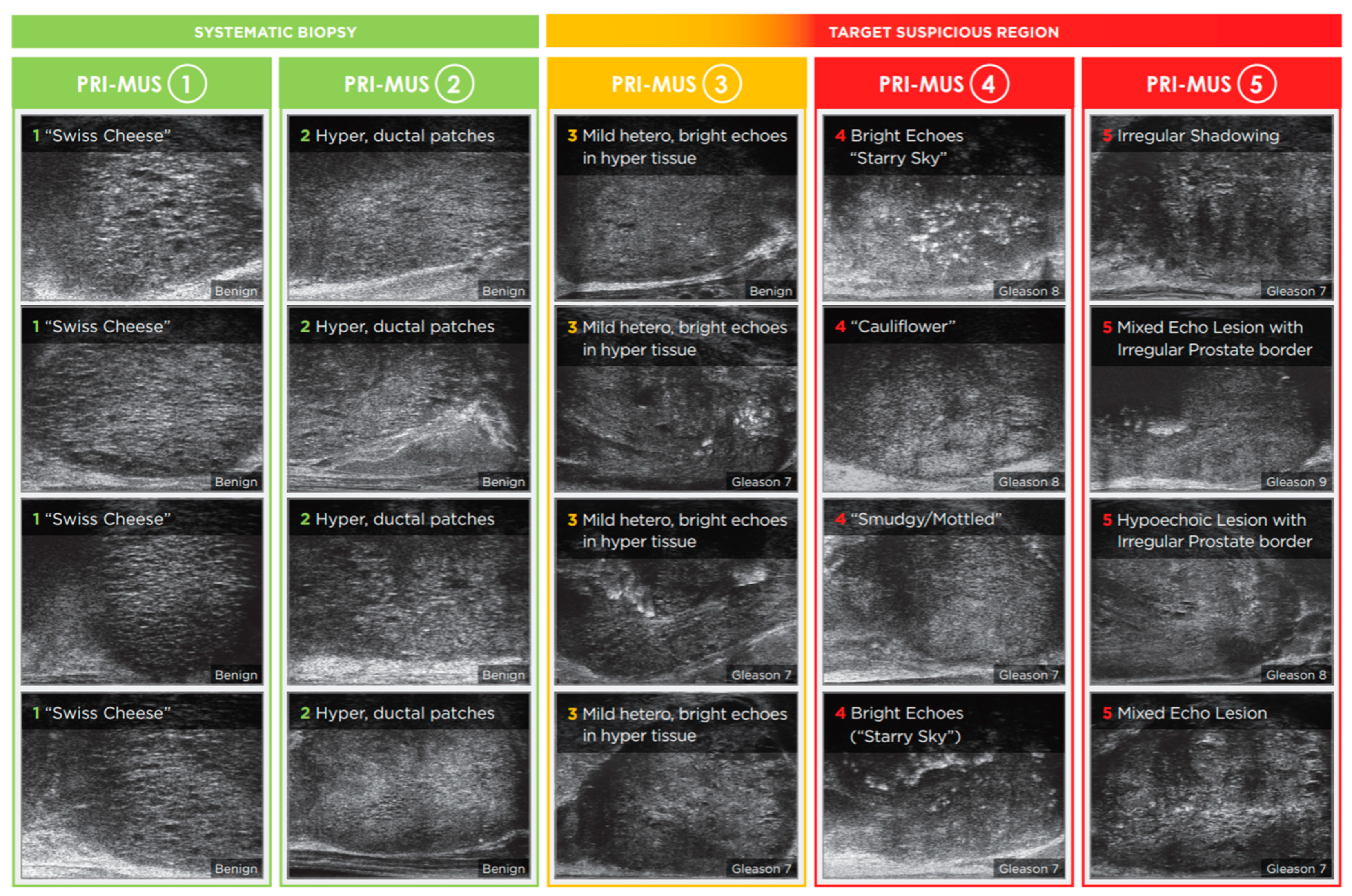 Tomography 11 00080 g001 Tomography 11 00080 g001
