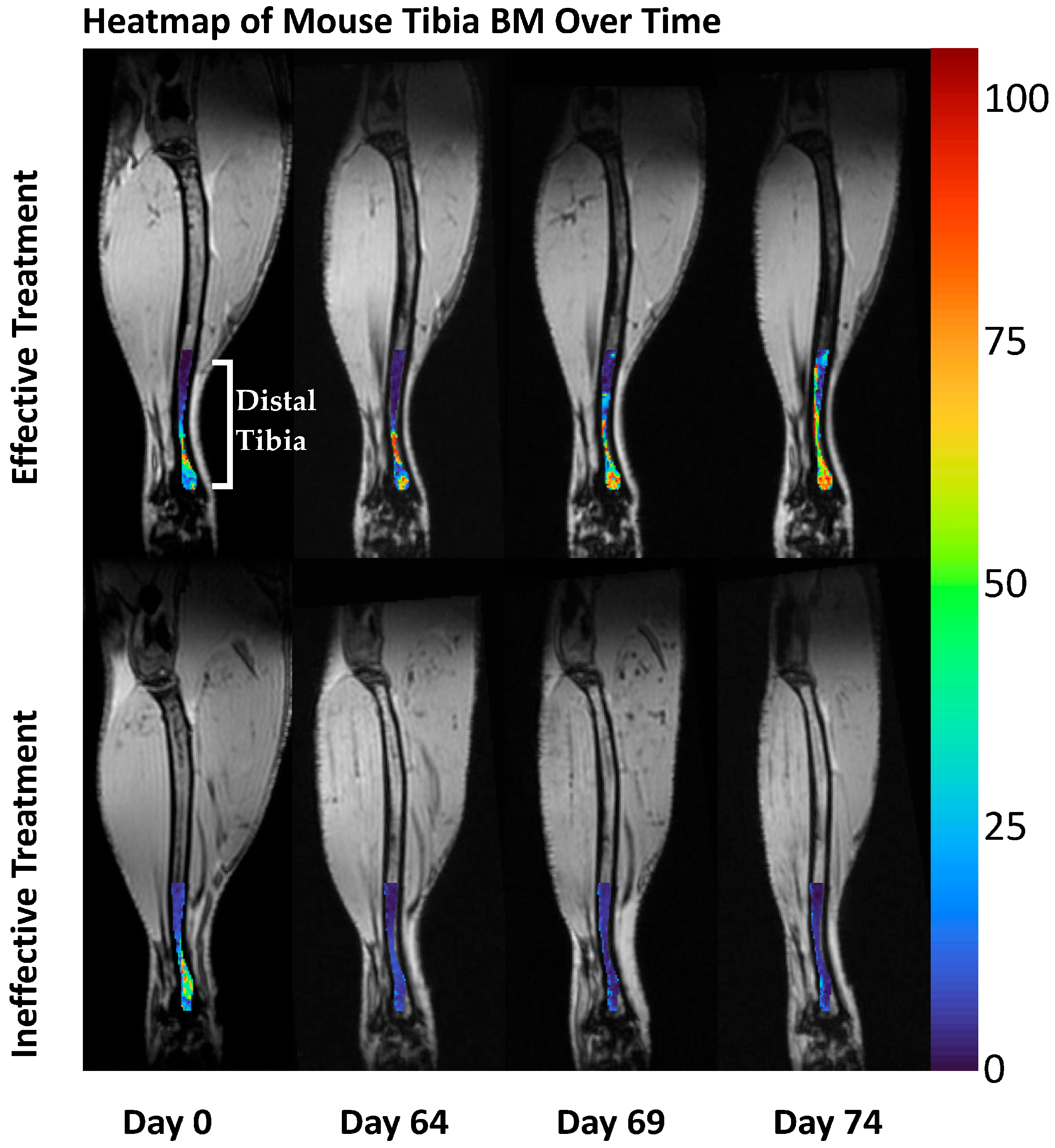 Tomography 11 00082 g003 Tomography 11 00082 g003
