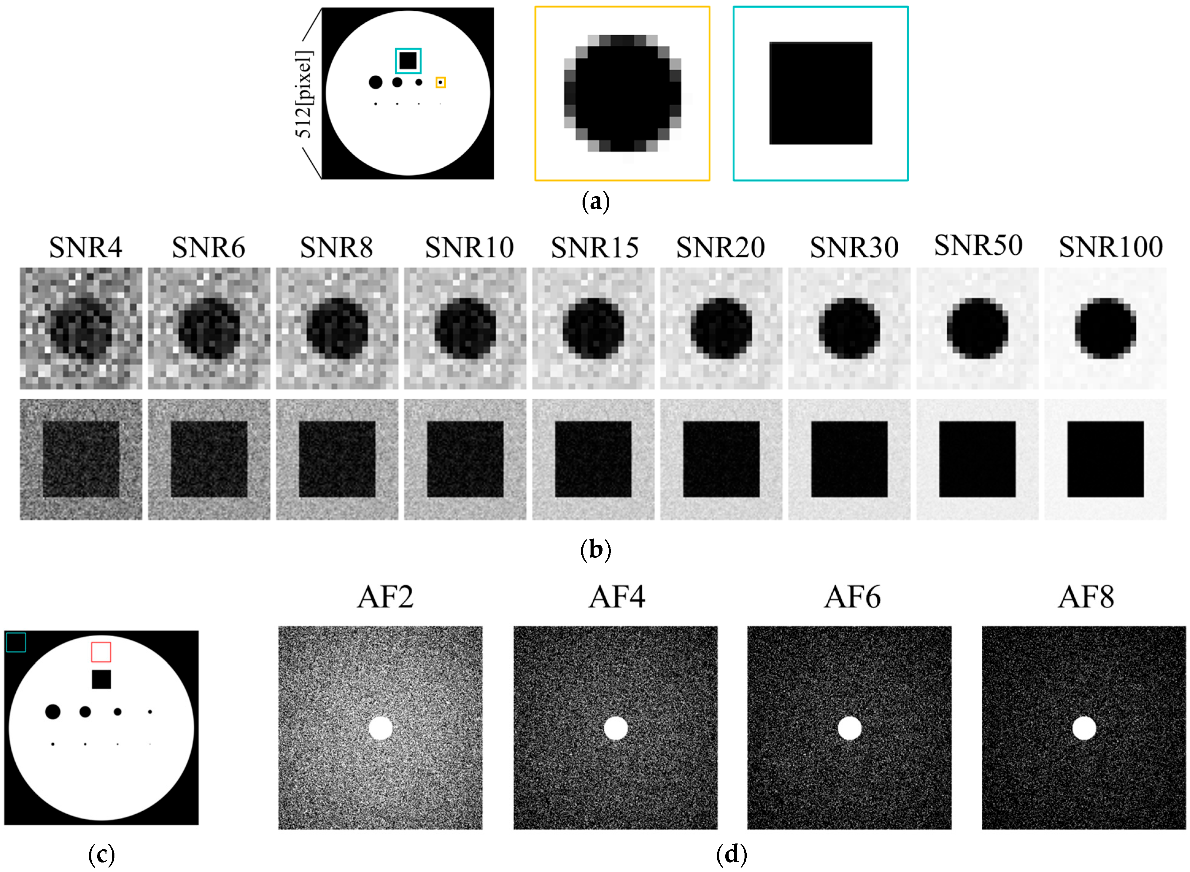 Tomography 11 00088 g001