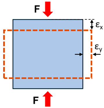 Tomography 11 00101 i003 Tomography 11 00101 i003