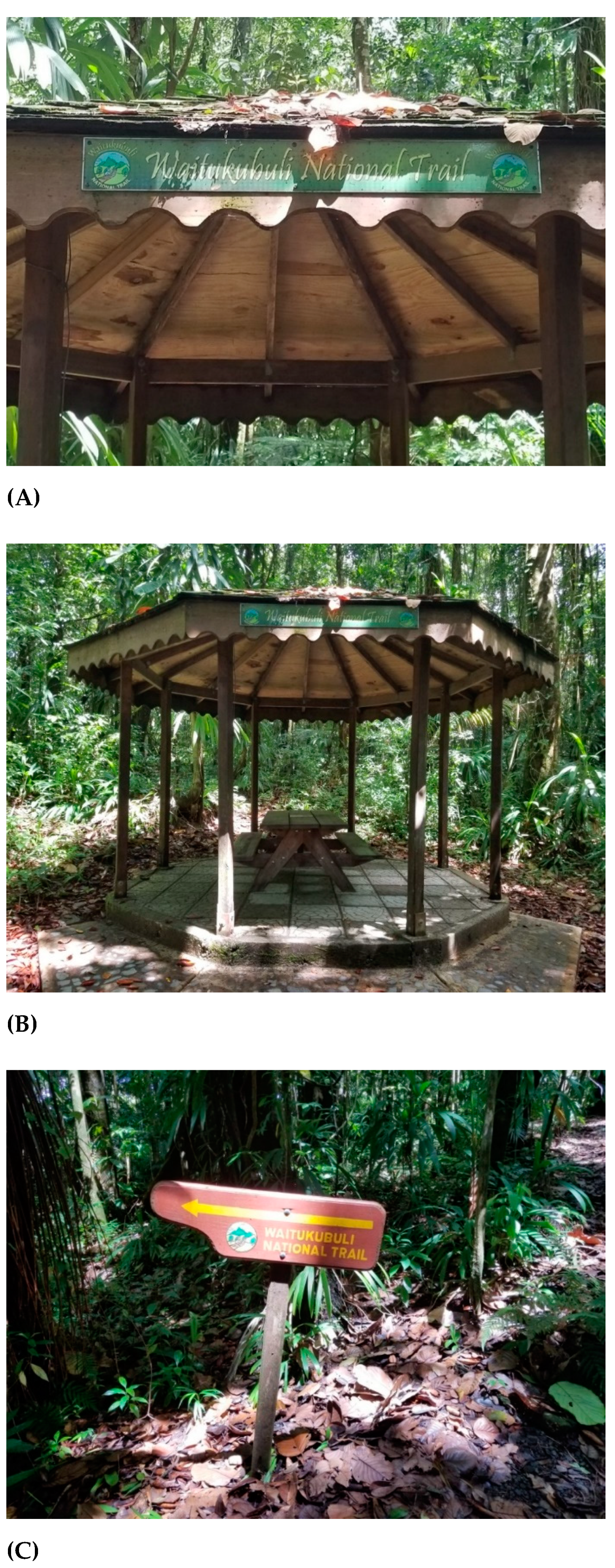 Tourismhosp 02 00005 g004