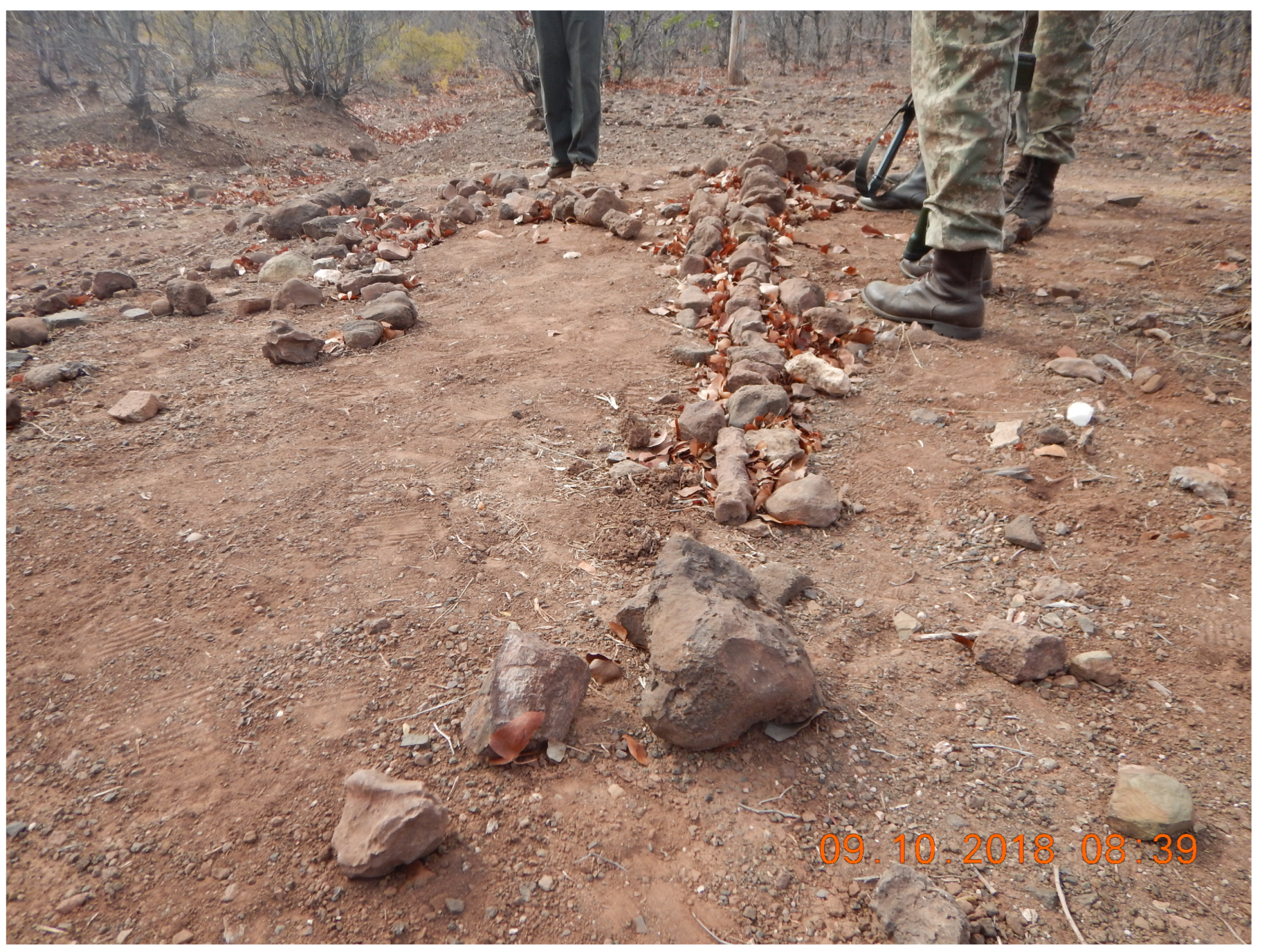 Tourismhosp 04 00012 g002