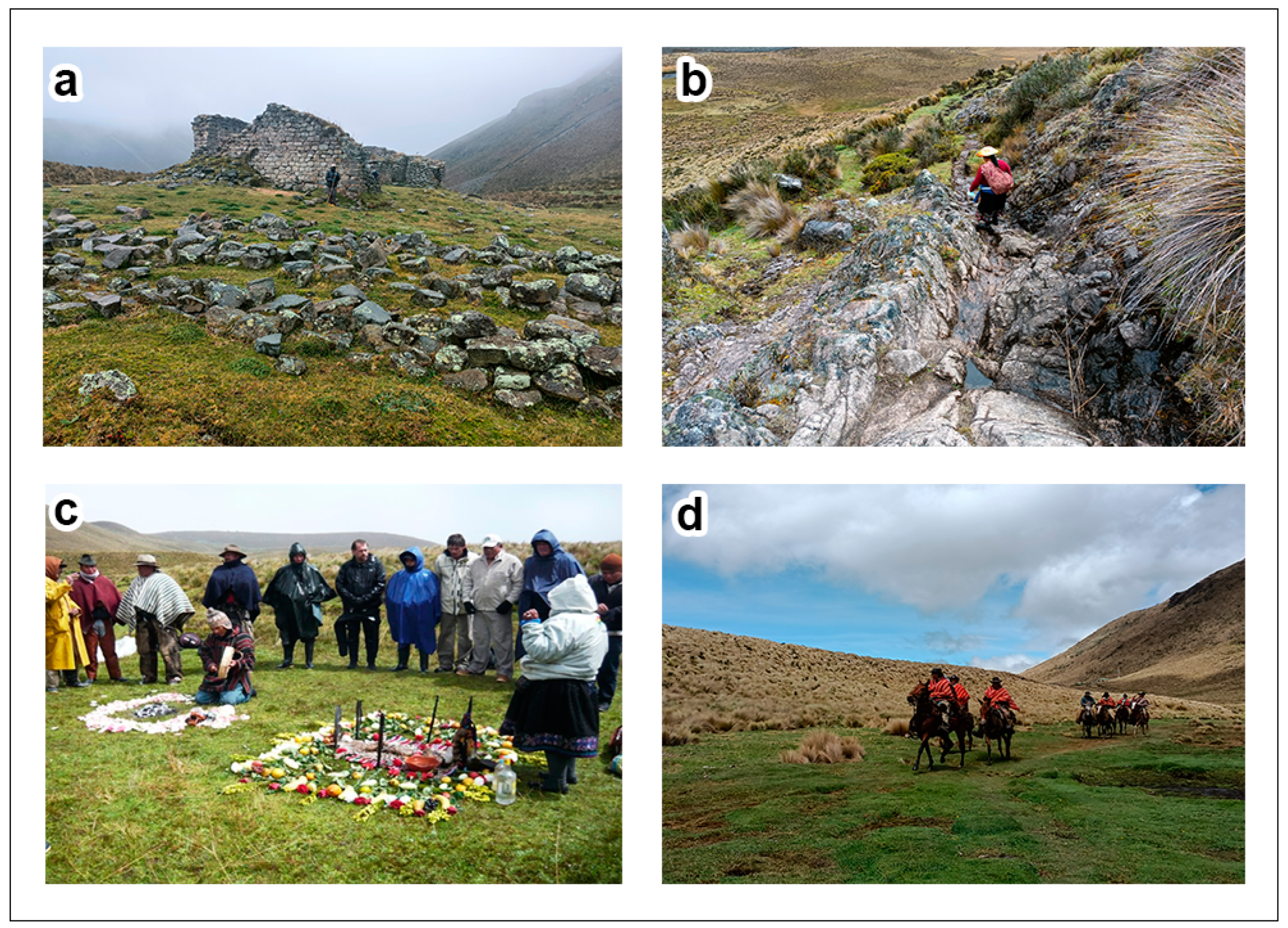 Tourismhosp 04 00026 g007