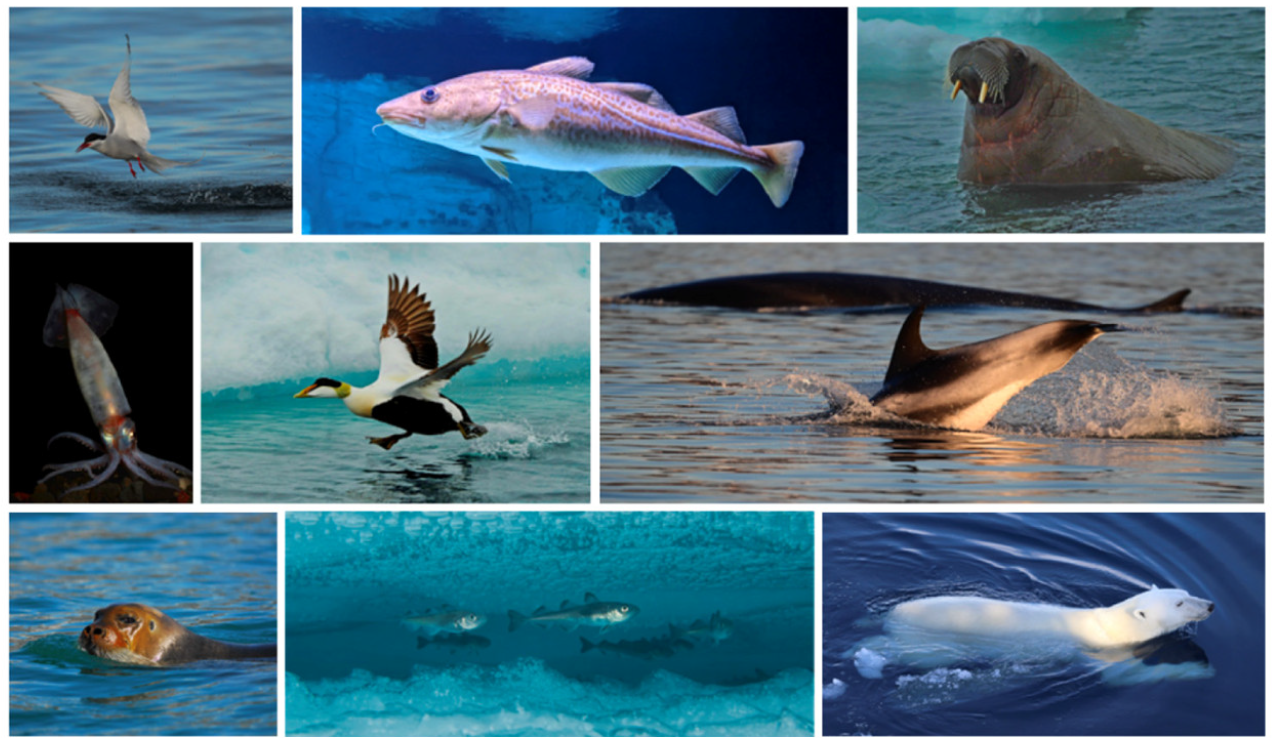 Tourismhosp 05 00031 g002