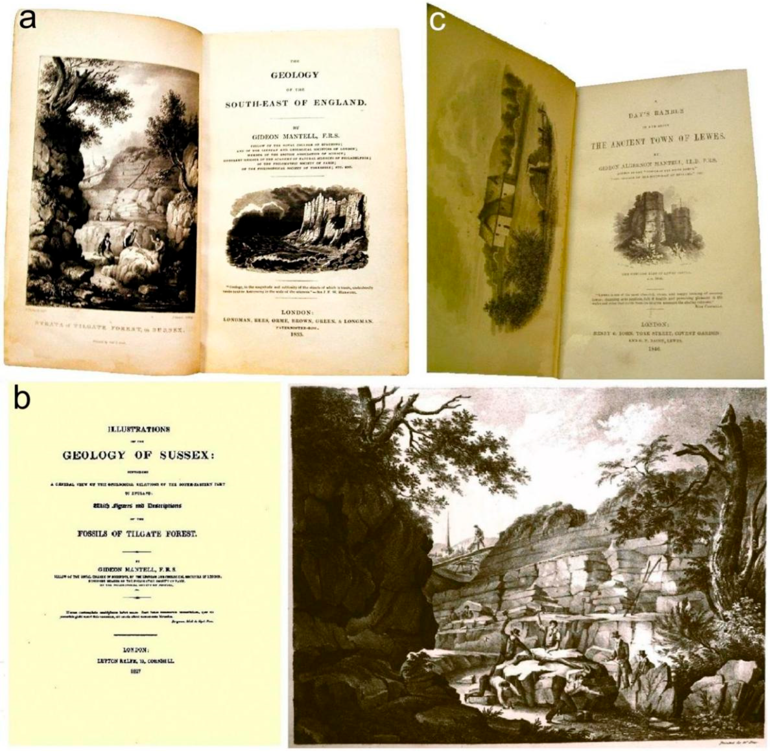 Tourismhosp 06 00155 g011 Tourismhosp 06 00155 g011