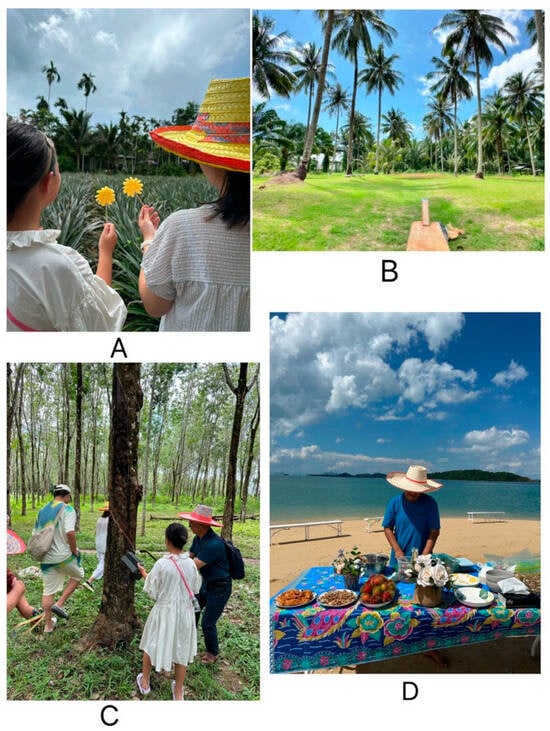 Tourismhosp 06 00281 g001