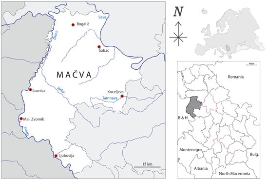 Geographic overview of the Mačva District. Source: authors’ analysis.