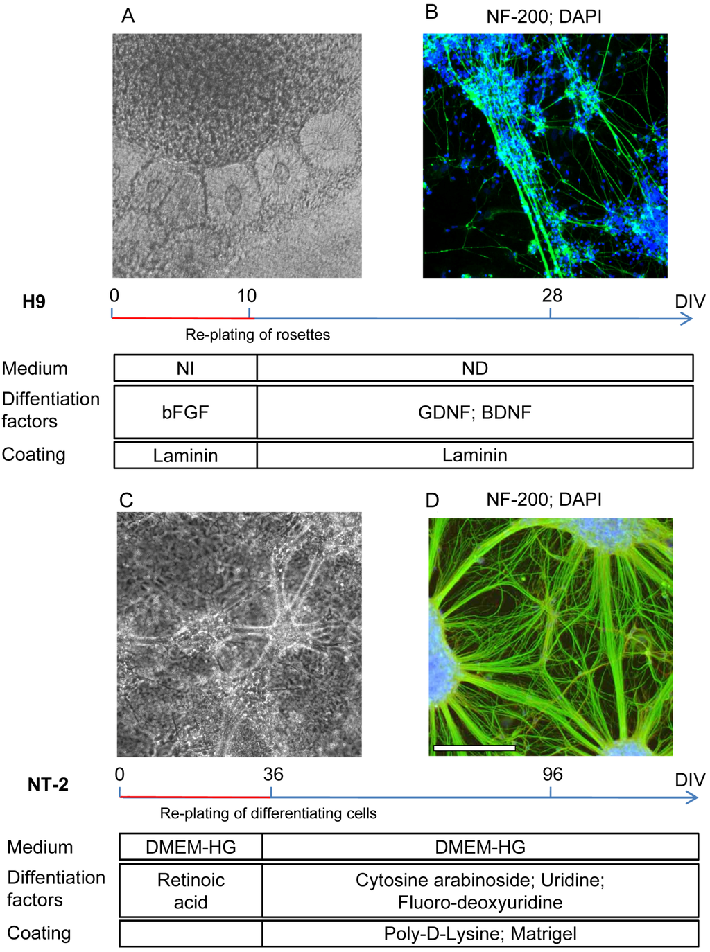Toxics 02 00443 g001 1024