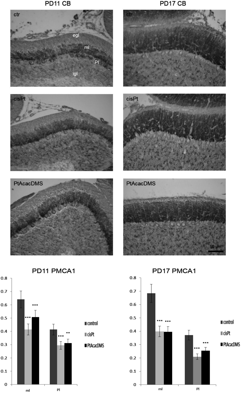 Toxics 03 00224 g003 1024