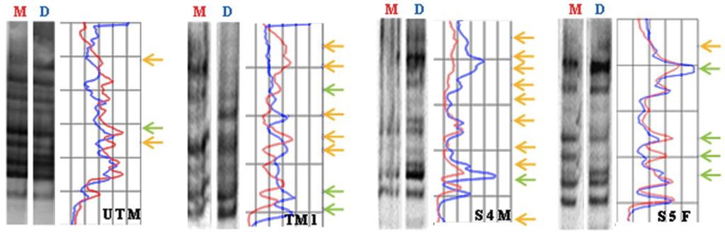Toxics 03 00451 g003 1024