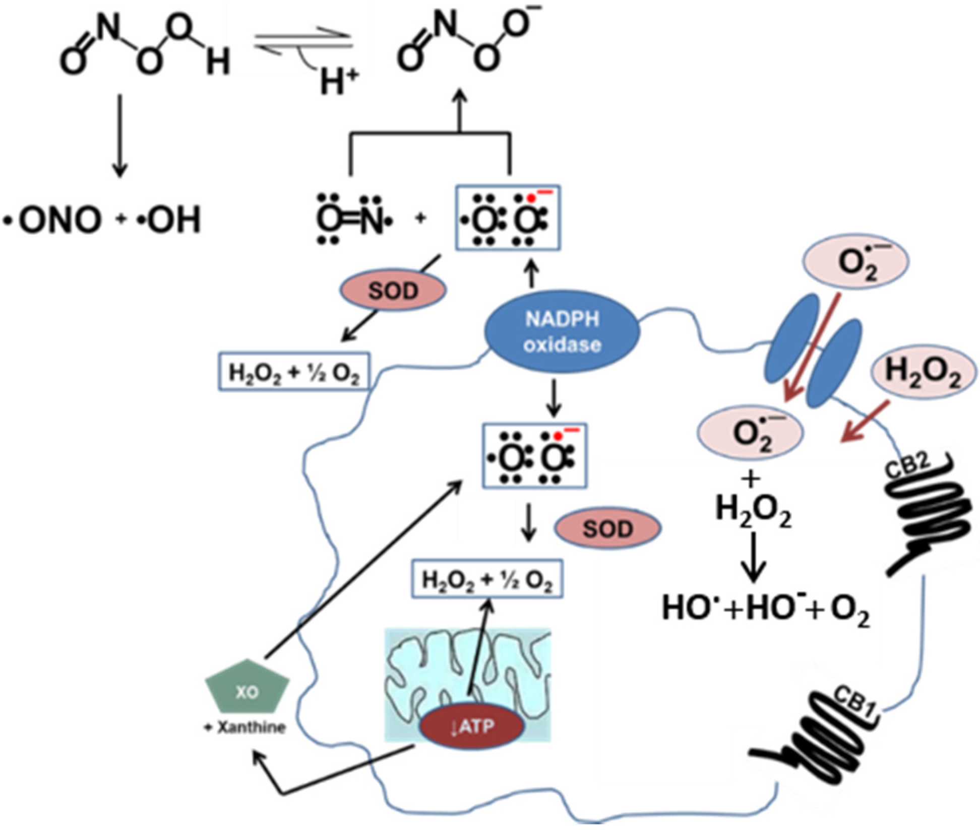 Toxics 03 00481 g001