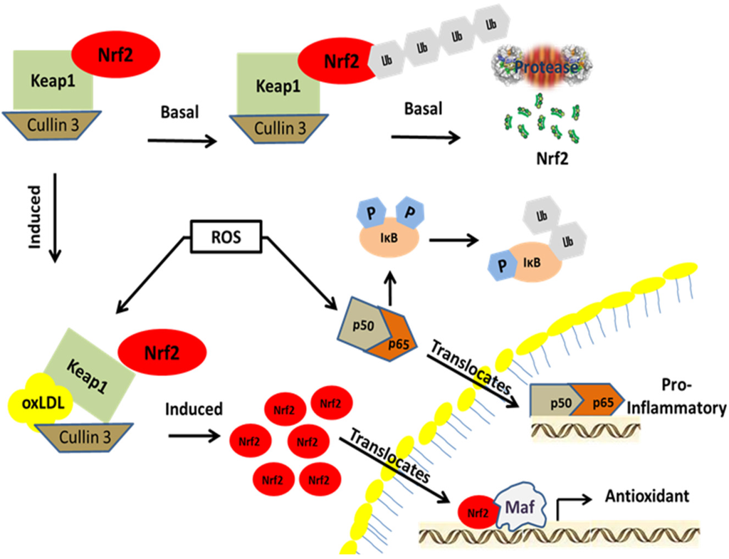 Toxics 03 00481 g002 1024