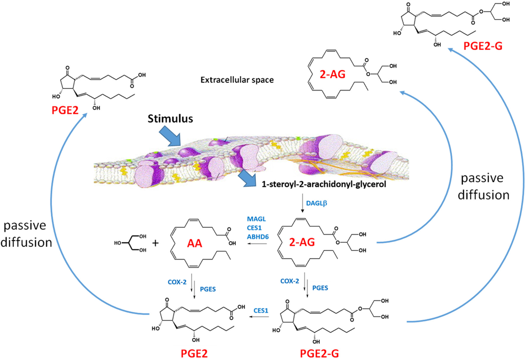Toxics 03 00481 g003 1024