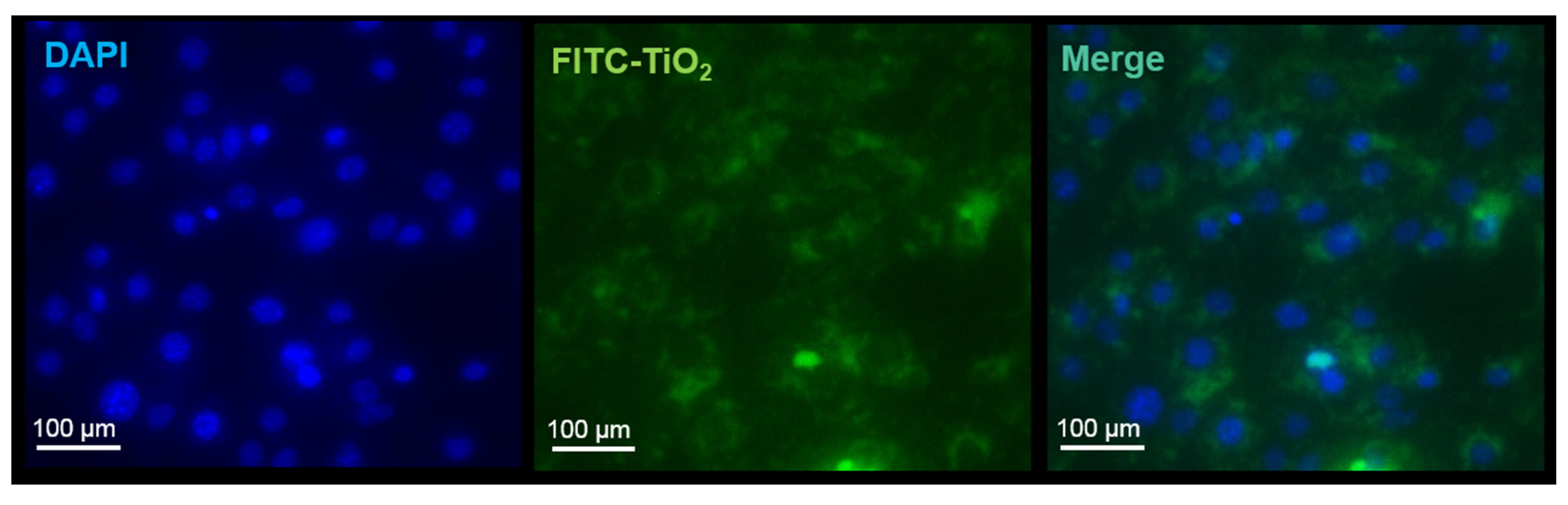 Toxics 05 00015 g001 Toxics 05 00015 g001