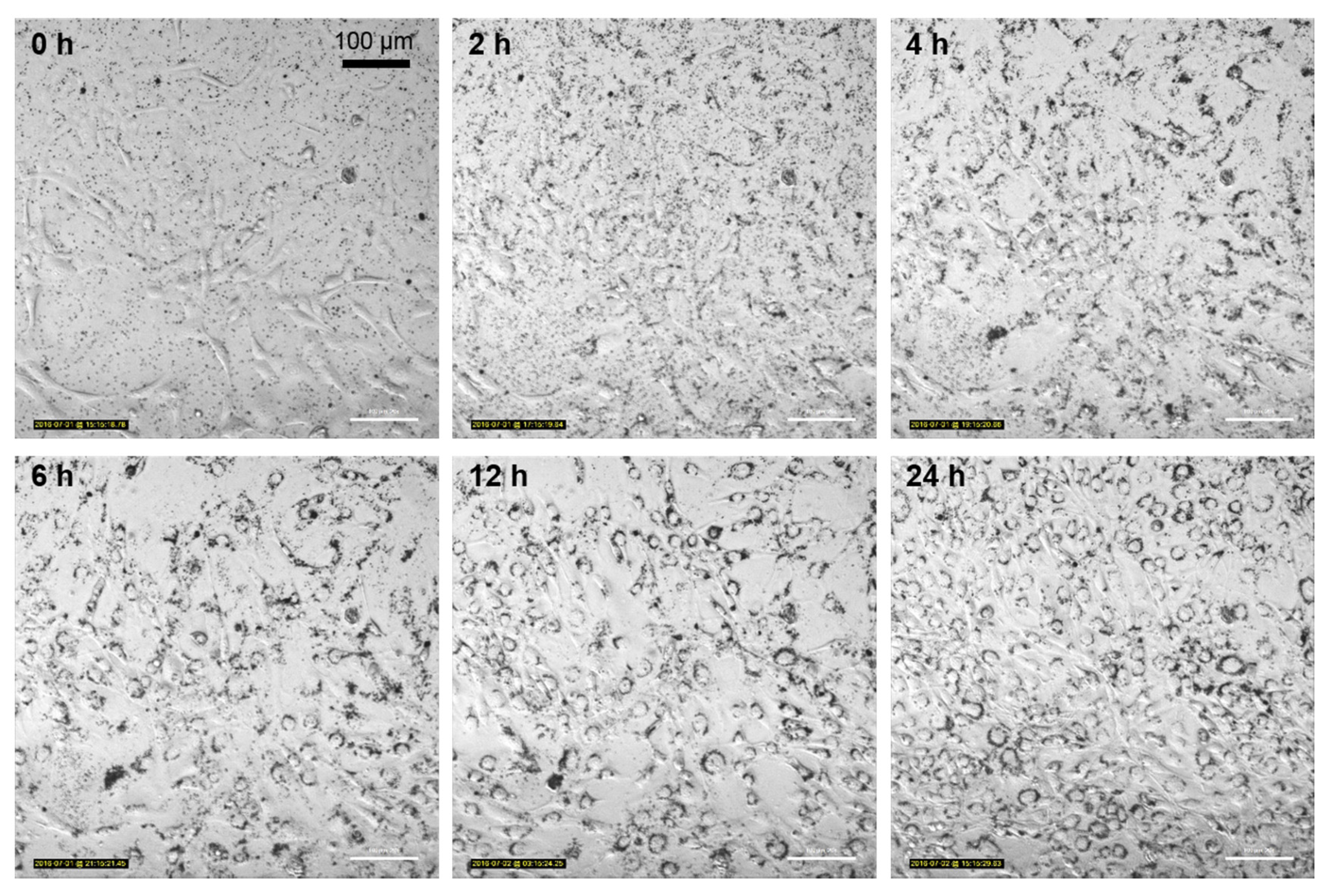 Toxics 05 00015 g007 Toxics 05 00015 g007