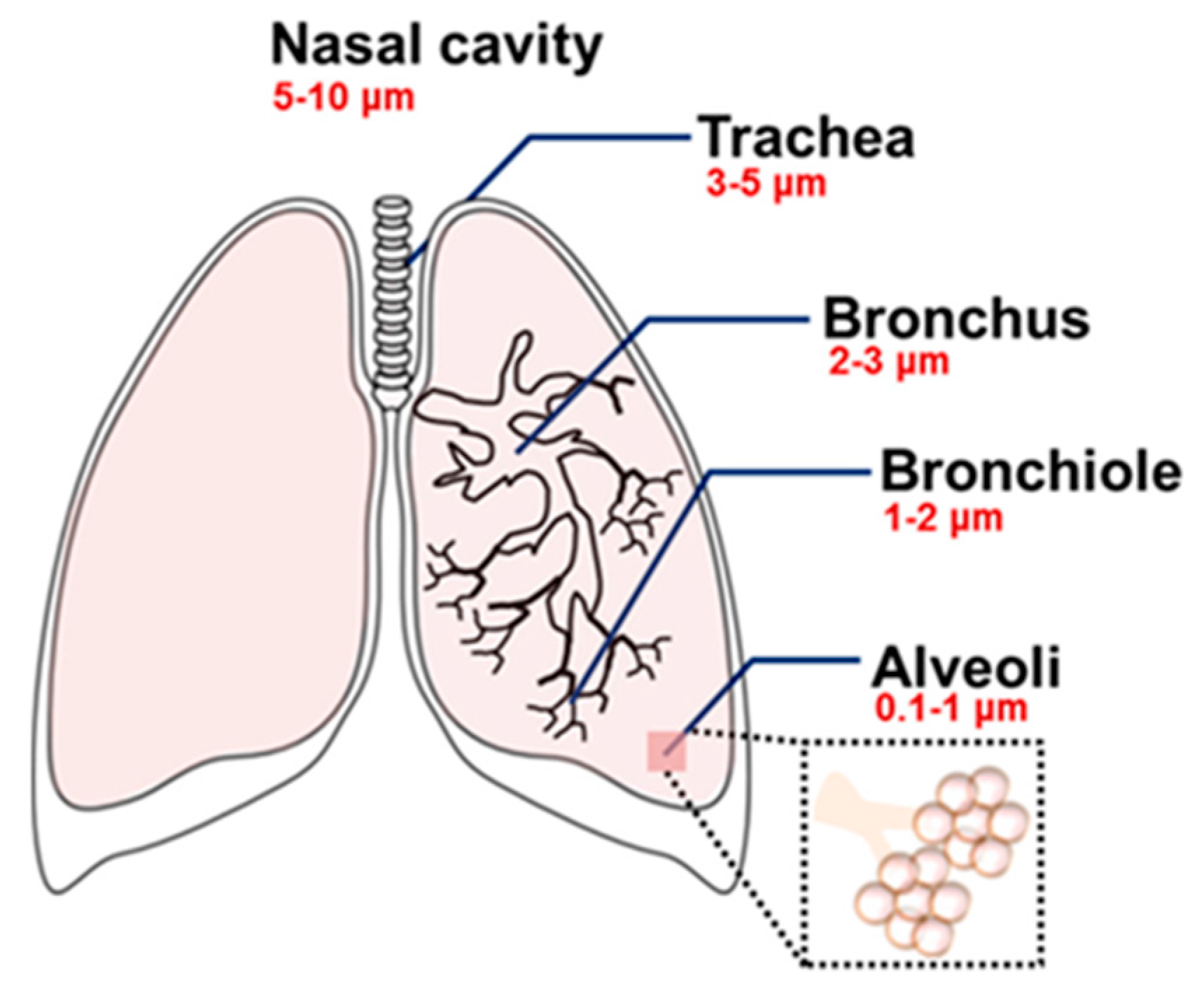 Toxics 05 00029 g003 Toxics 05 00029 g003