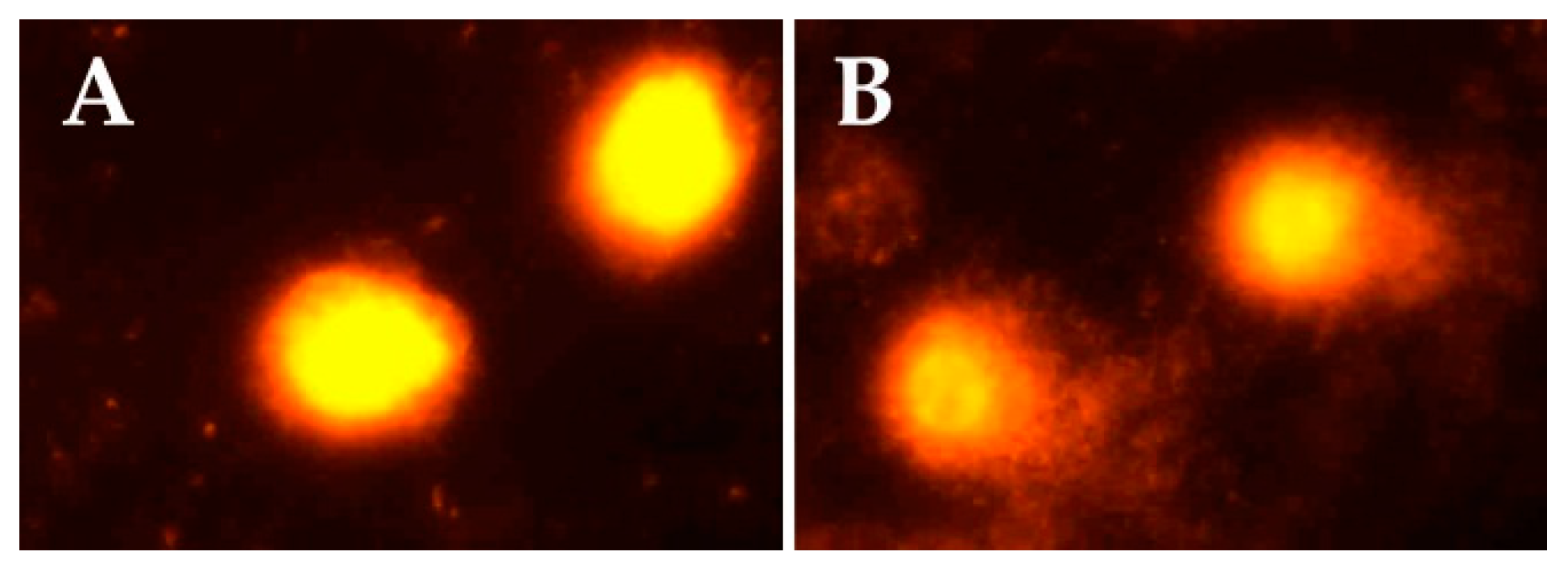 Toxics 06 00013 g001