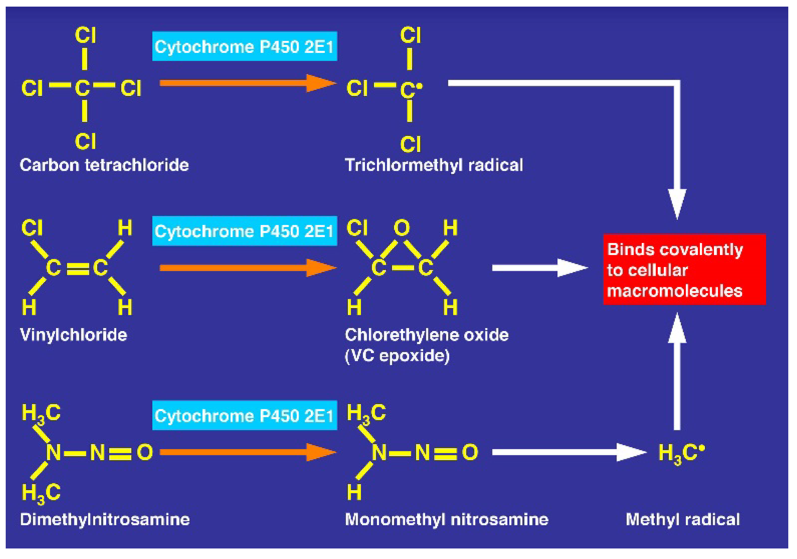 Toxics 06 00025 g019