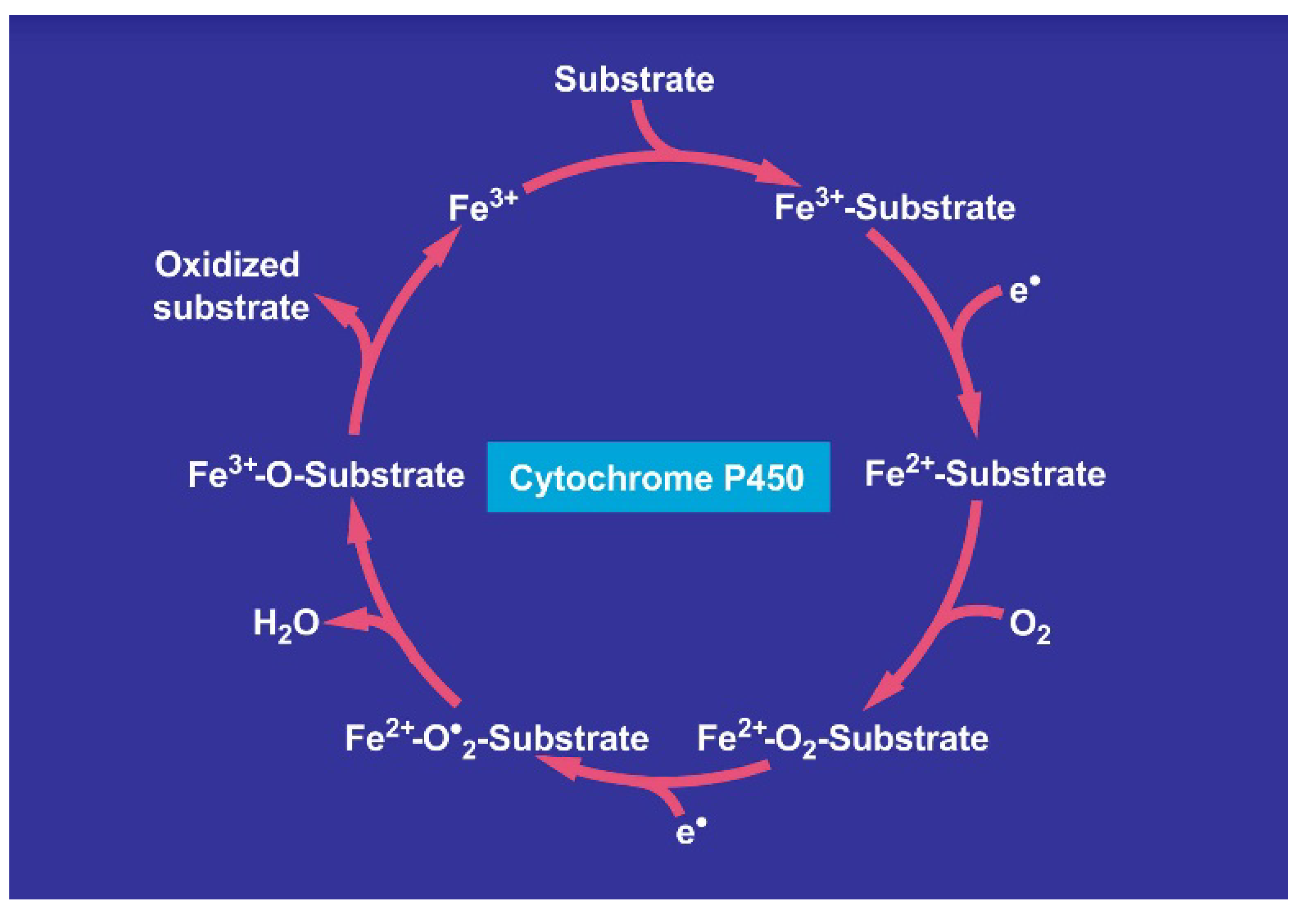 Toxics 06 00025 g021