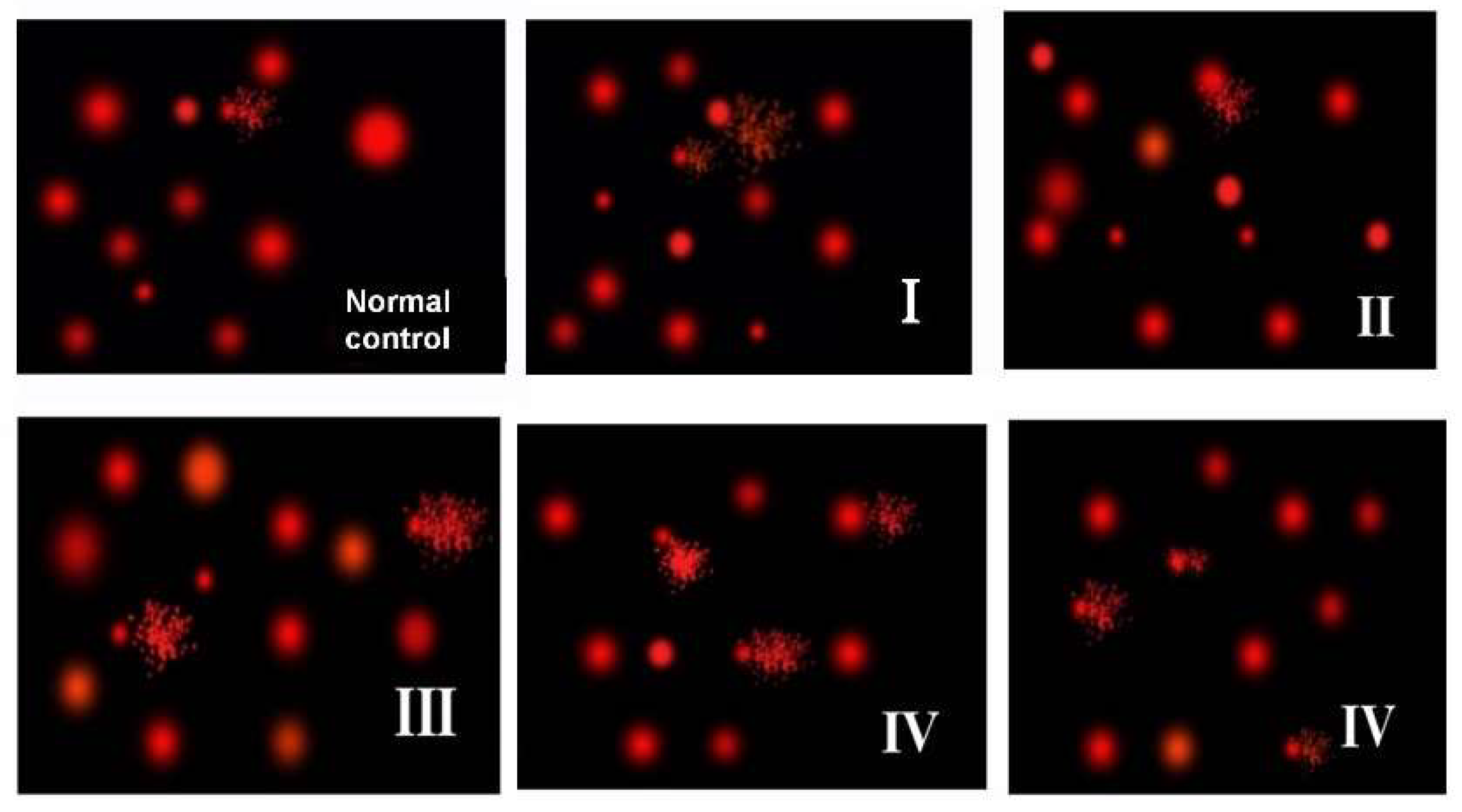 Toxics 06 00029 g005
