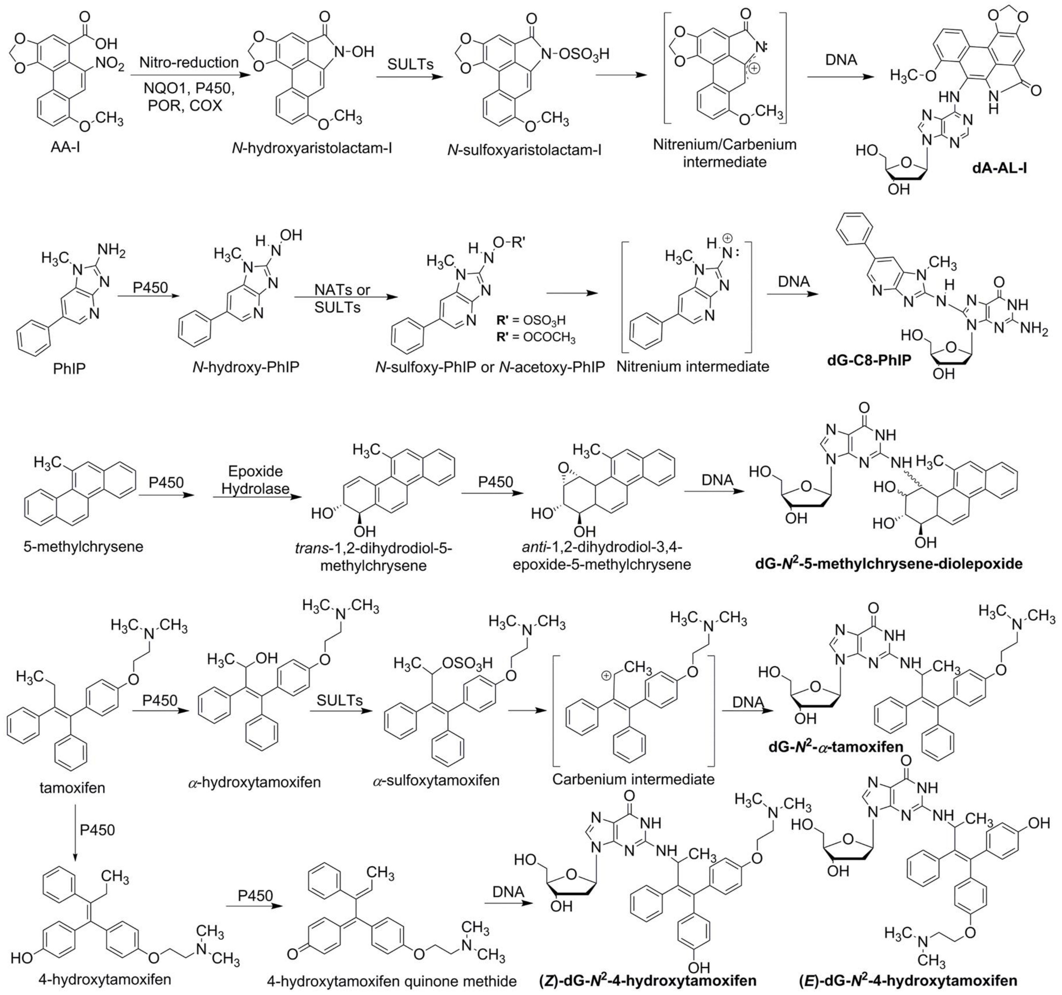 Toxics 06 00030 g001