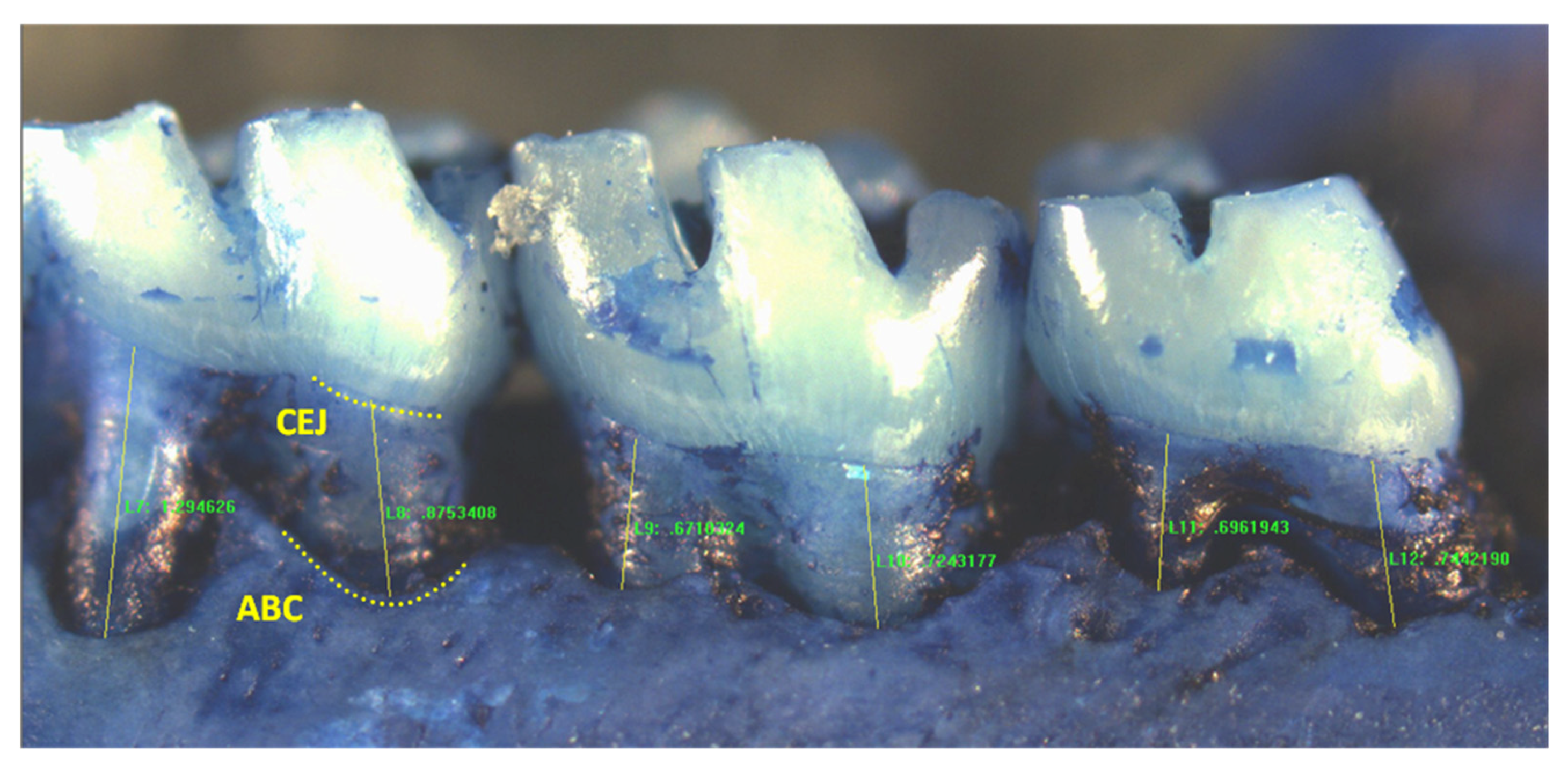 Toxics 06 00032 g001